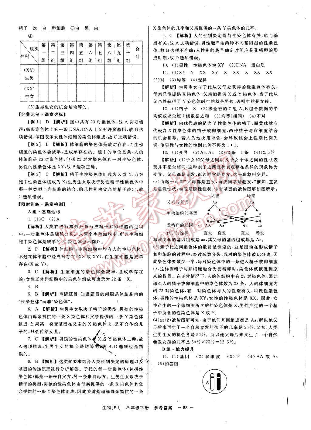 2016年全效學(xué)習(xí)八年級(jí)地理下冊(cè)人教版 第8頁