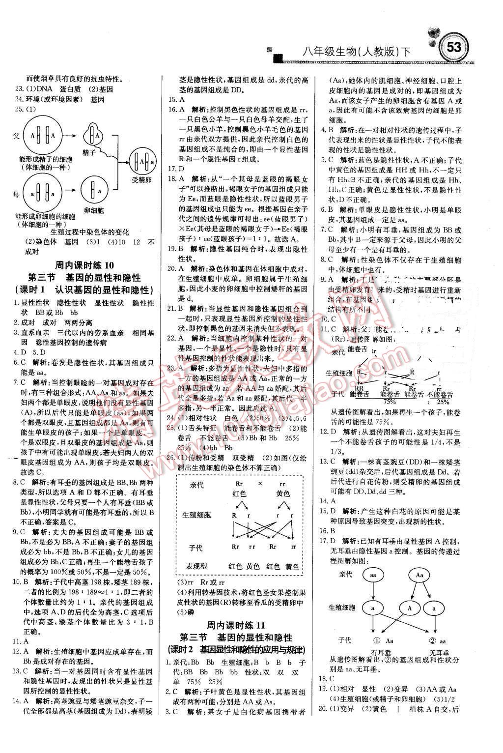 2016年轻巧夺冠周测月考直通中考八年级生物下册人教版 第5页