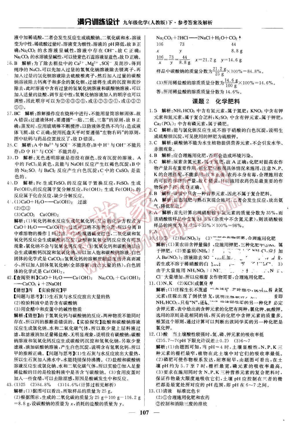 2016年满分训练设计九年级化学下册人教版 第20页