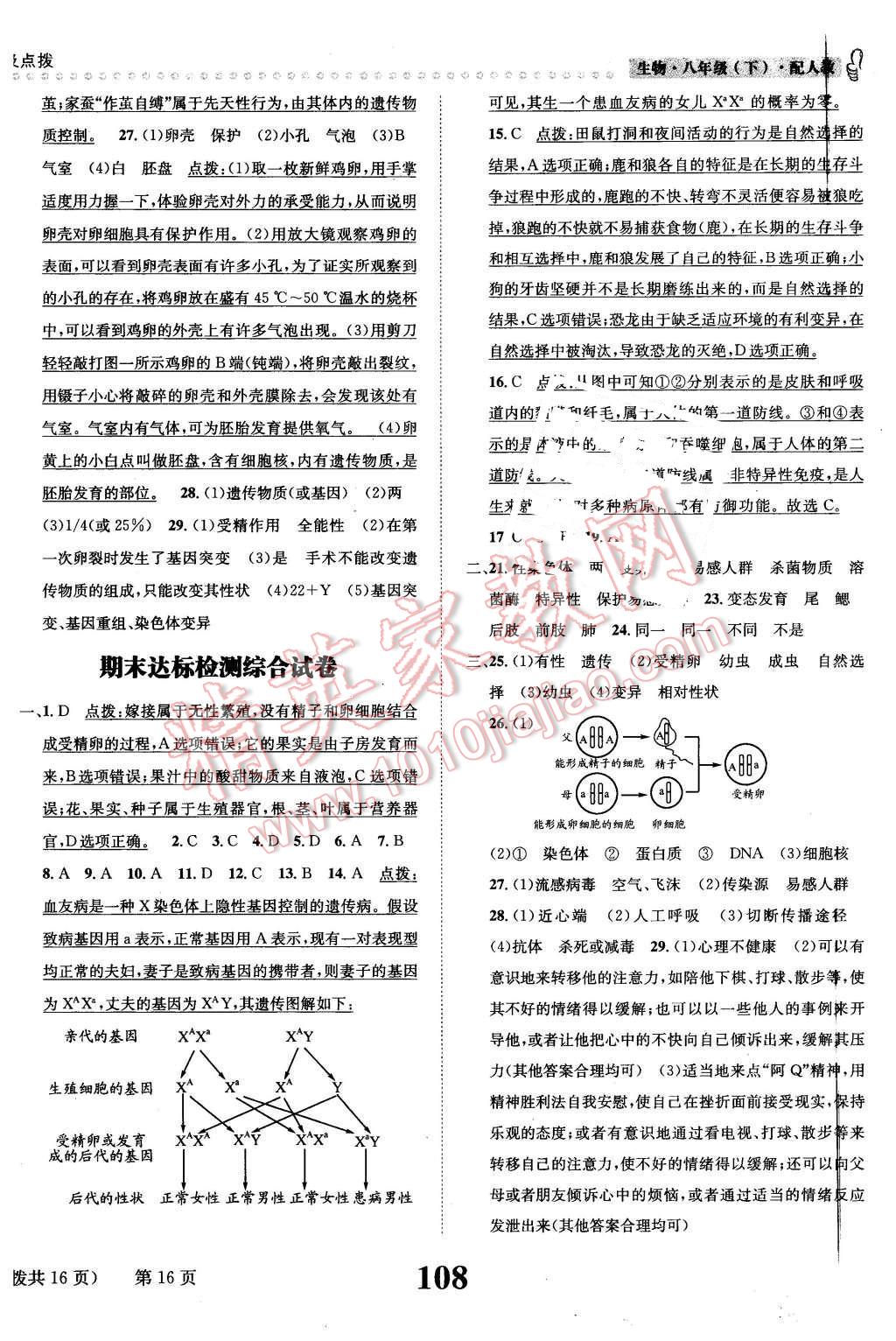 2016年課時(shí)達(dá)標(biāo)練與測(cè)八年級(jí)生物下冊(cè)人教版 第16頁(yè)