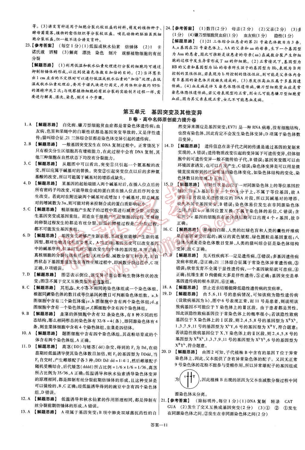 2015年金考卷活頁題選高中生物必修2人教版 第11頁