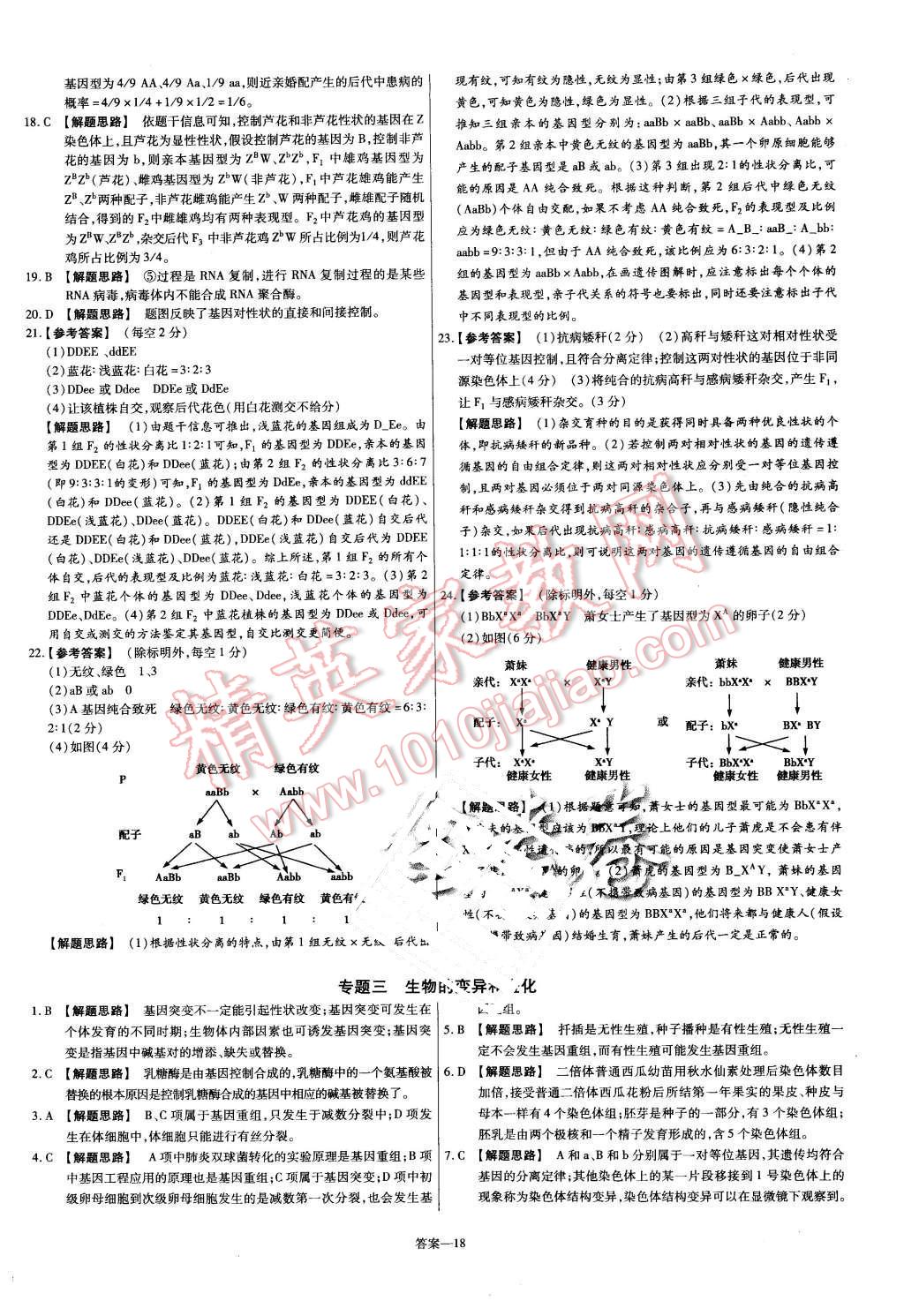 2015年金考卷活頁(yè)題選高中生物必修2人教版 第18頁(yè)