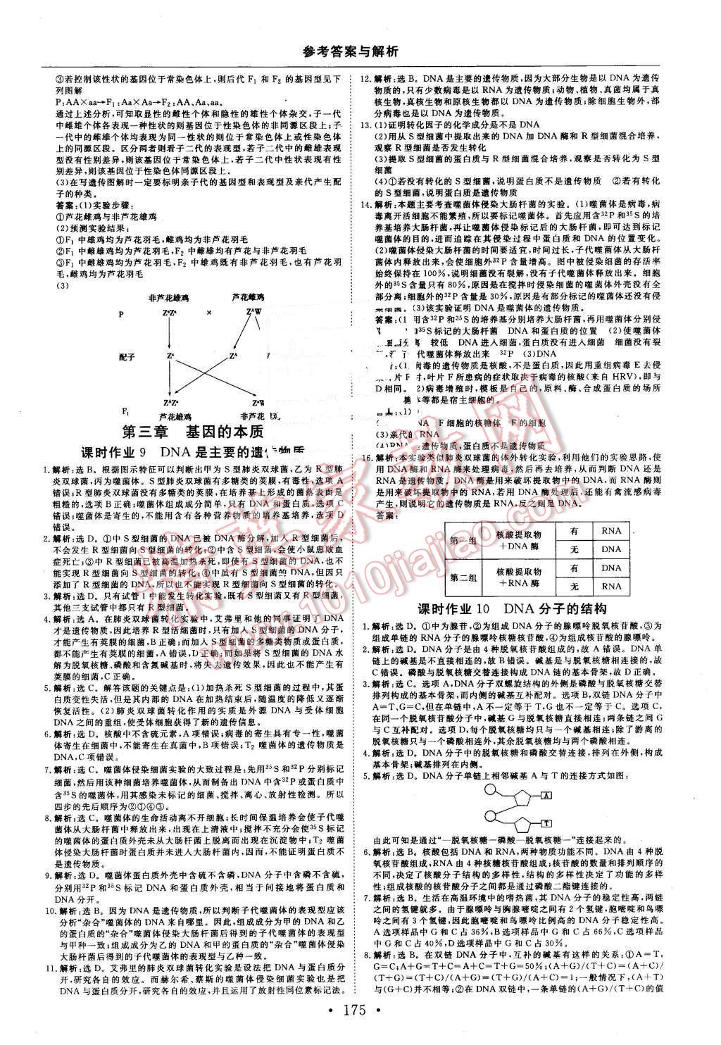 2015年高中同步創(chuàng)新課堂優(yōu)化方案生物必修2 第23頁