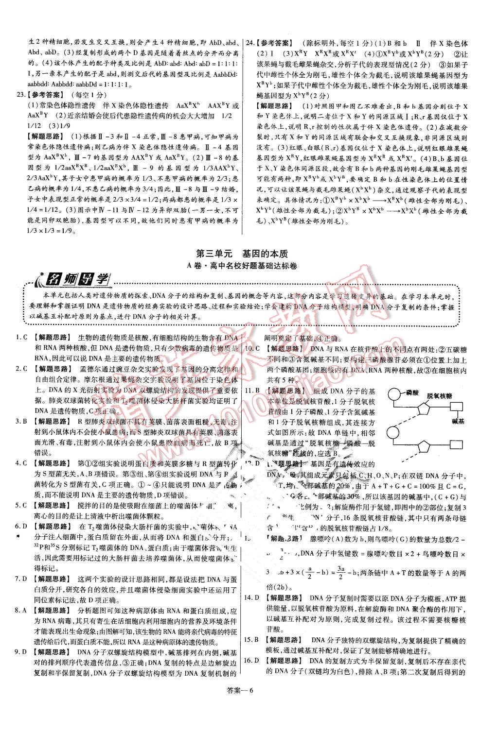 2015年金考卷活頁題選高中生物必修2人教版 第6頁