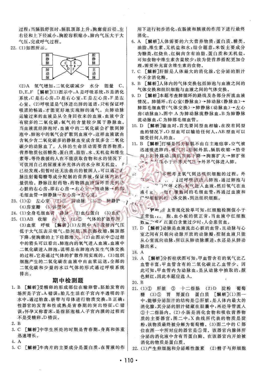 2016年同行學(xué)案七年級生物下冊蘇教版 第18頁