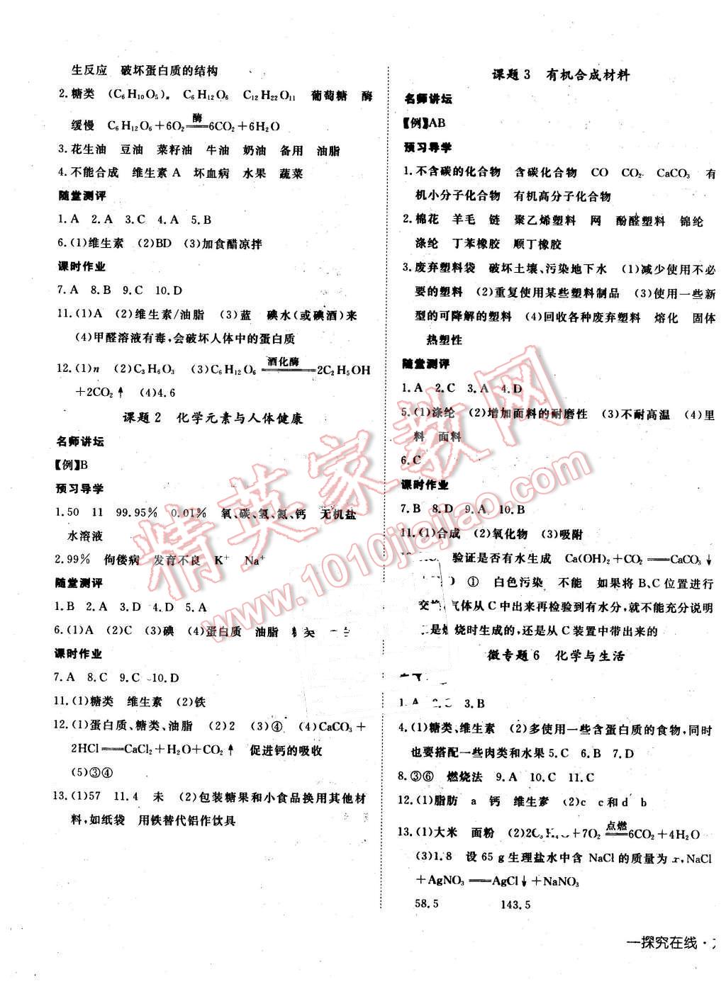 2016年探究在線高效課堂九年級化學(xué)下冊人教版 第13頁