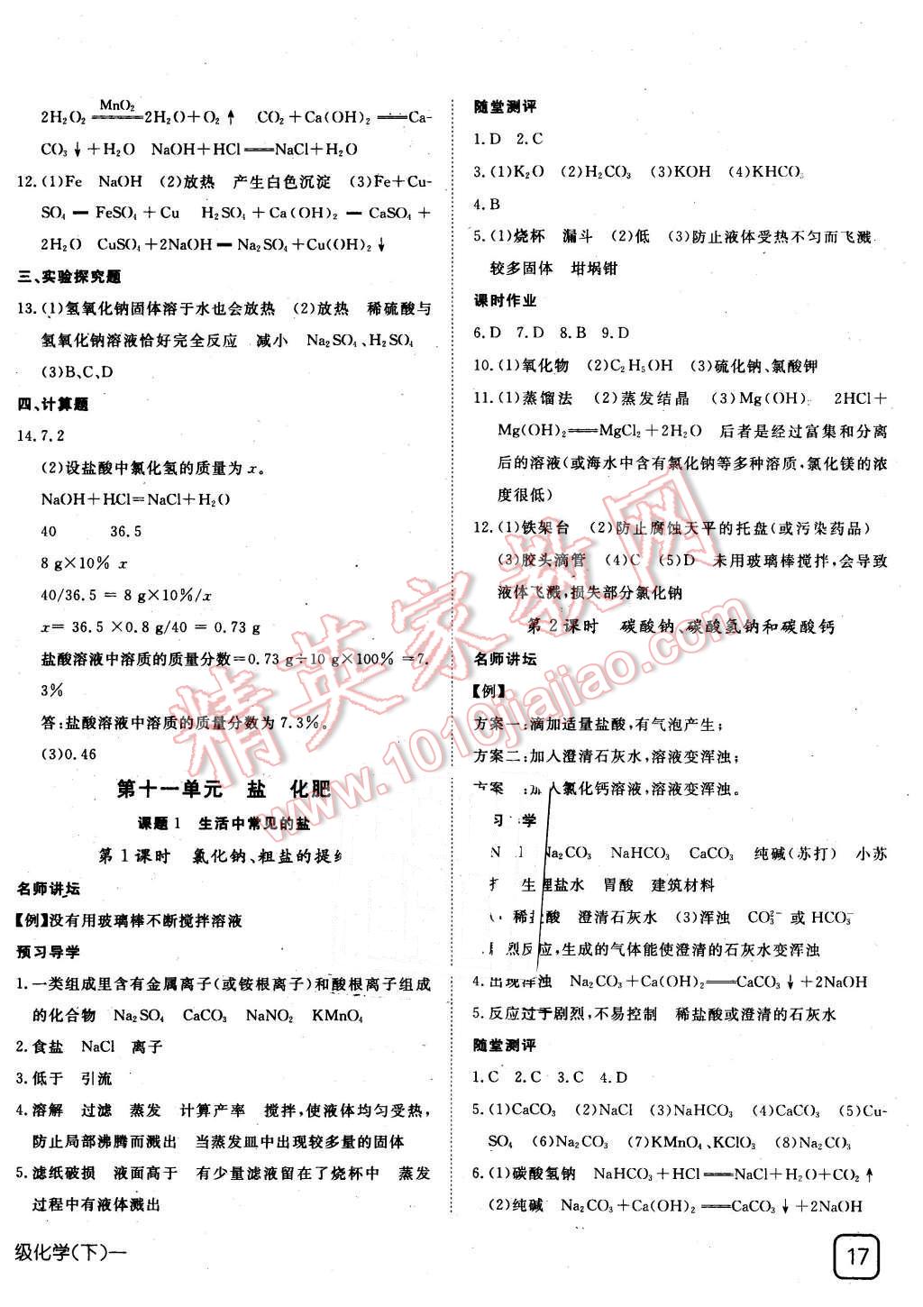 2016年探究在线高效课堂九年级化学下册人教版 第10页