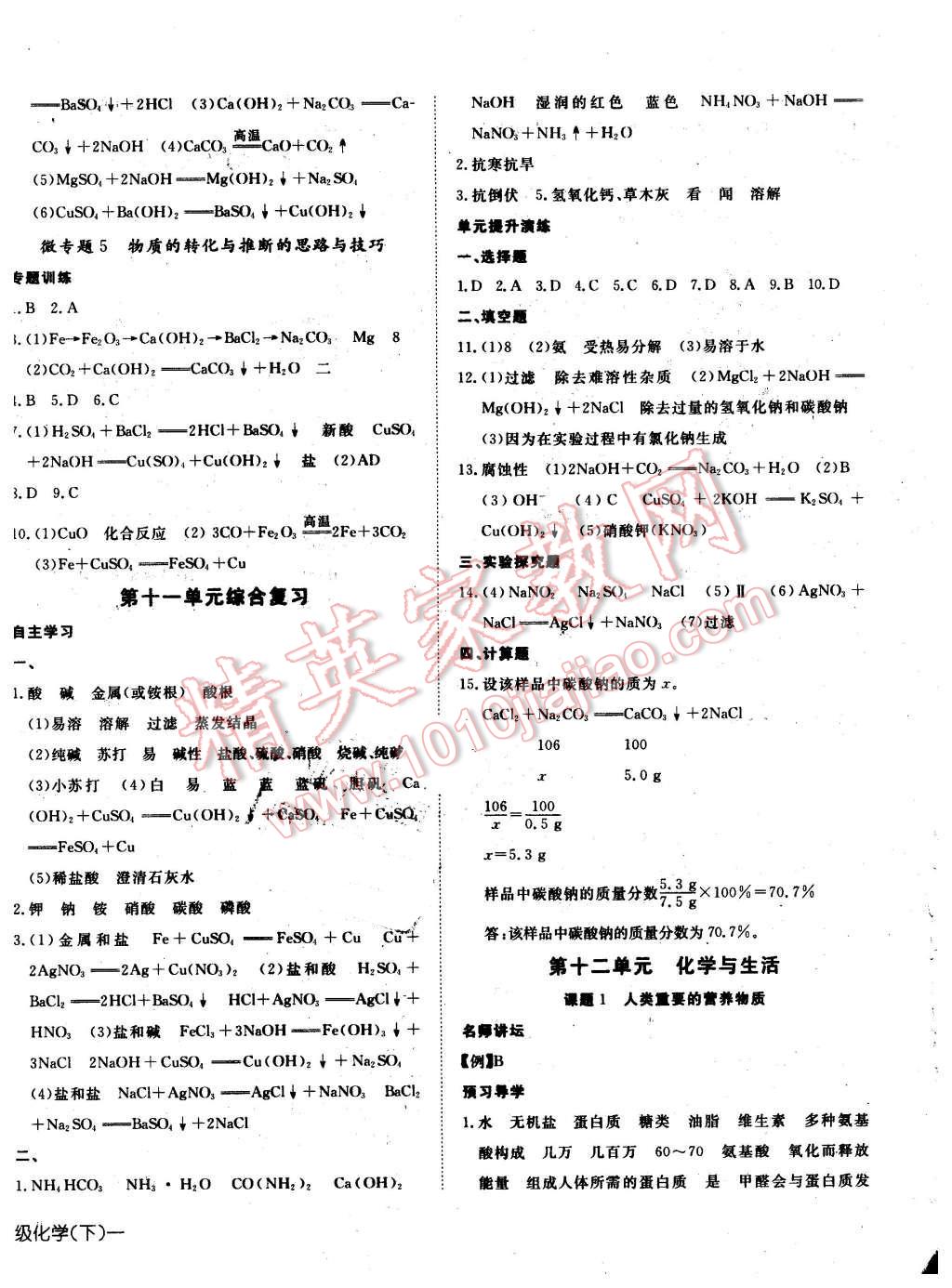 2016年探究在线高效课堂九年级化学下册人教版 第12页