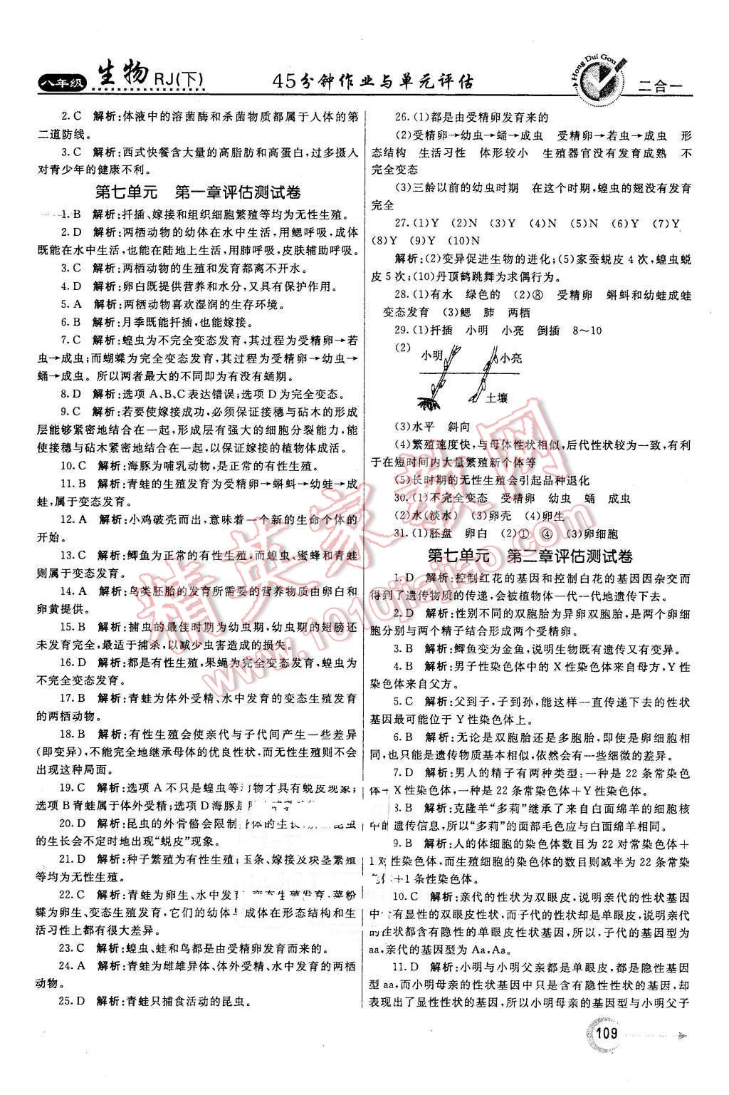 2016年紅對勾45分鐘作業(yè)與單元評估八年級生物下冊人教版 第17頁