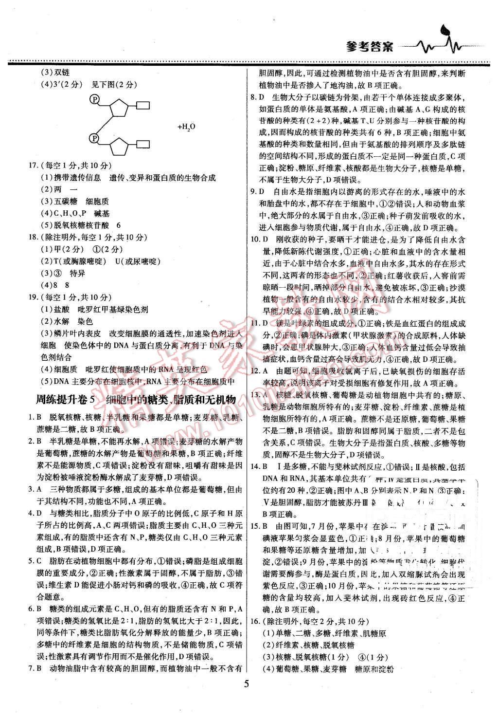 2015年名校戰(zhàn)略高中階段三測卷生物必修1人教版 第5頁