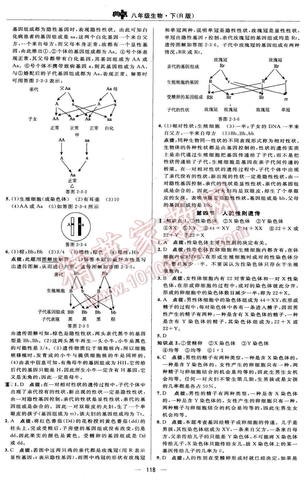 2016年綜合應(yīng)用創(chuàng)新題典中點(diǎn)八年級(jí)生物下冊(cè)人教版 第16頁