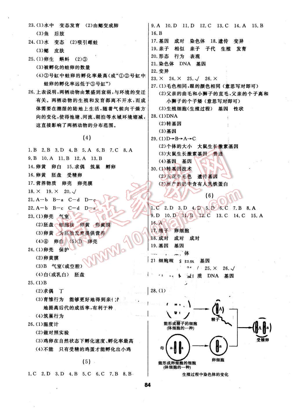 2016年試題優(yōu)化課堂同步八年級生物下冊人教版 第2頁