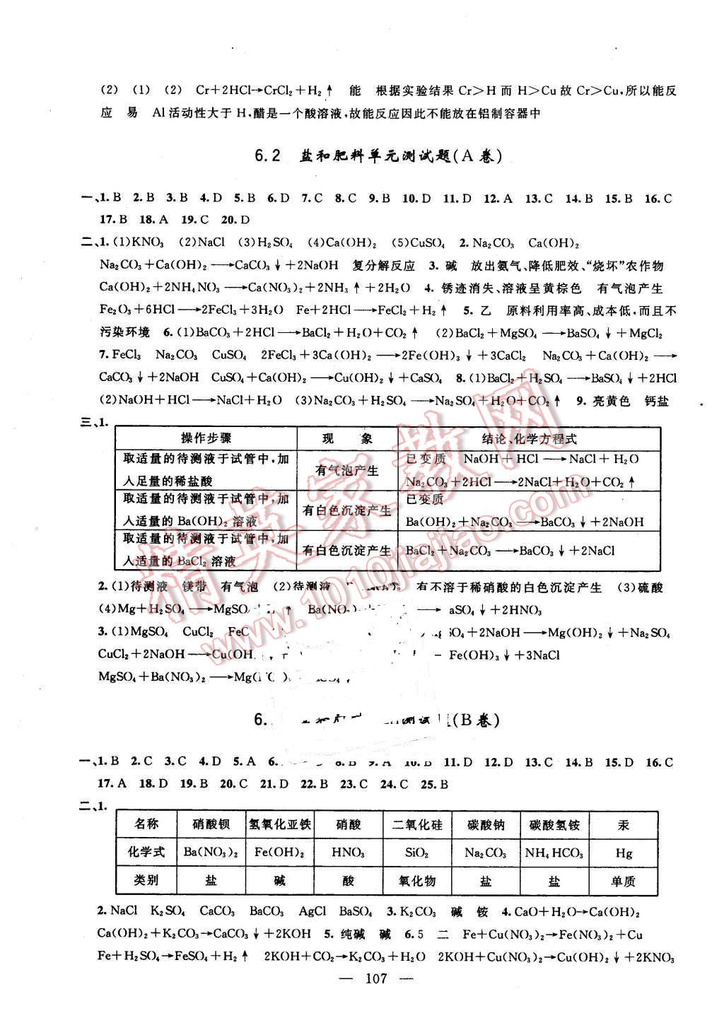 2016年鐘書金牌金試卷九年級化學(xué)下冊 第3頁