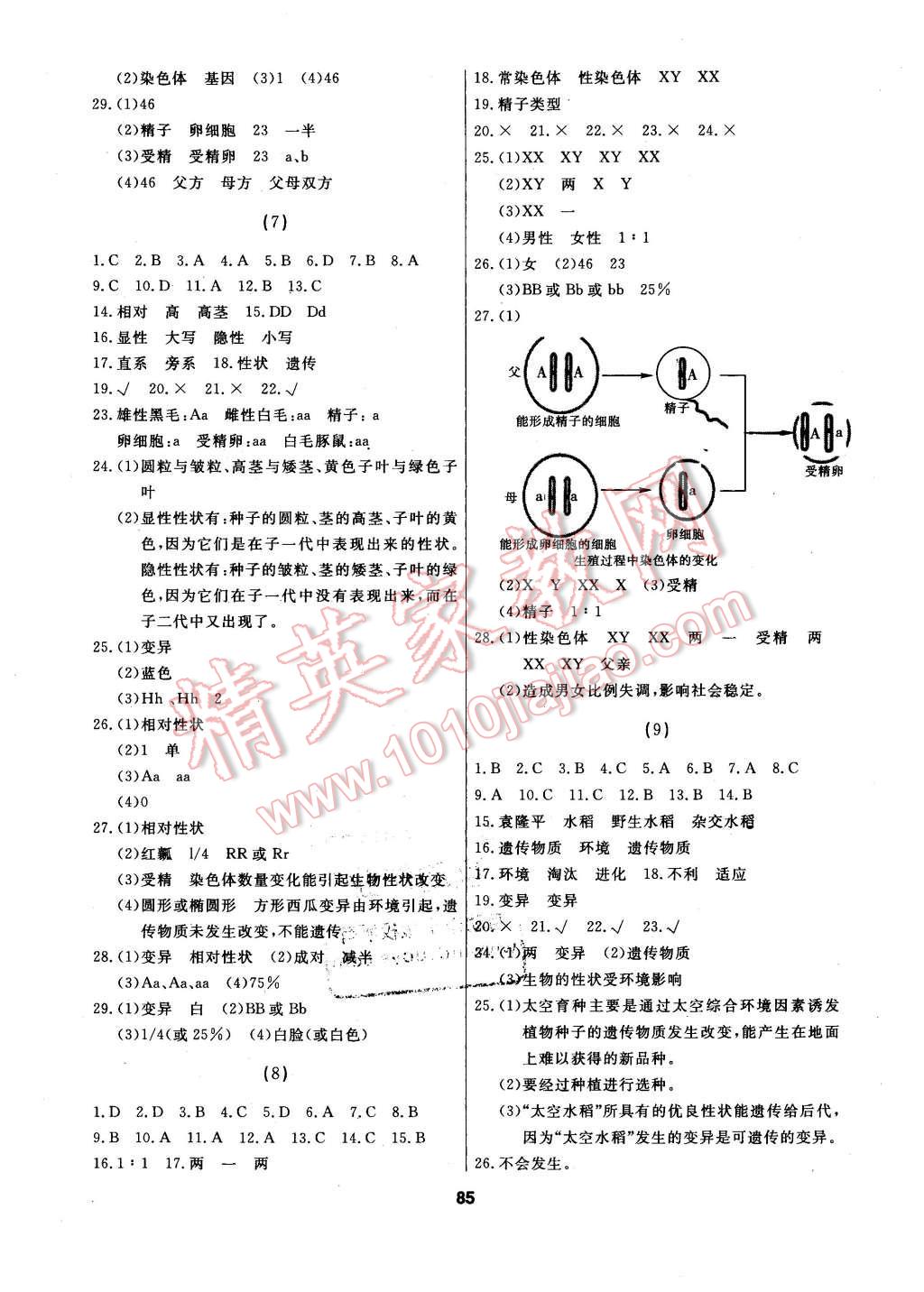 2016年試題優(yōu)化課堂同步八年級生物下冊人教版 第3頁