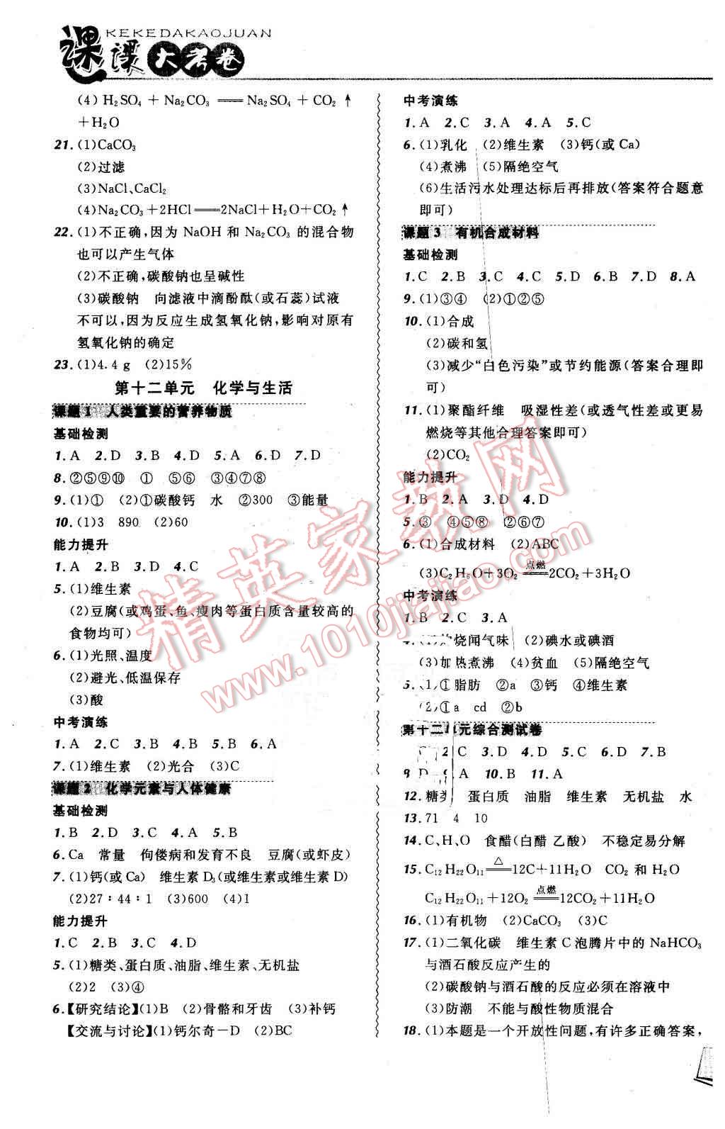 2016年北大绿卡课课大考卷九年级化学下册人教版 第5页