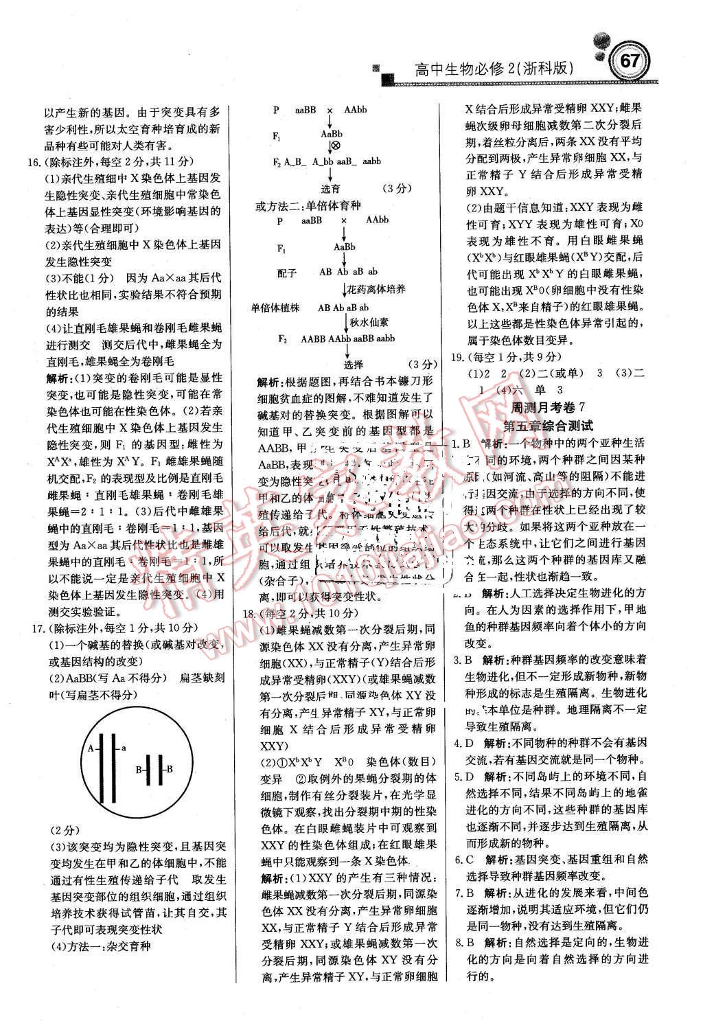 2016年轻巧夺冠周测月考直通高考高中生物必修2浙科版 第27页