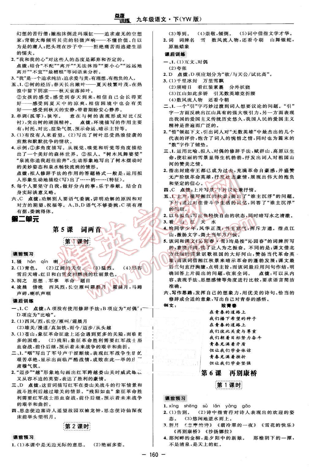 2016年点拨训练九年级语文下册语文版 第10页