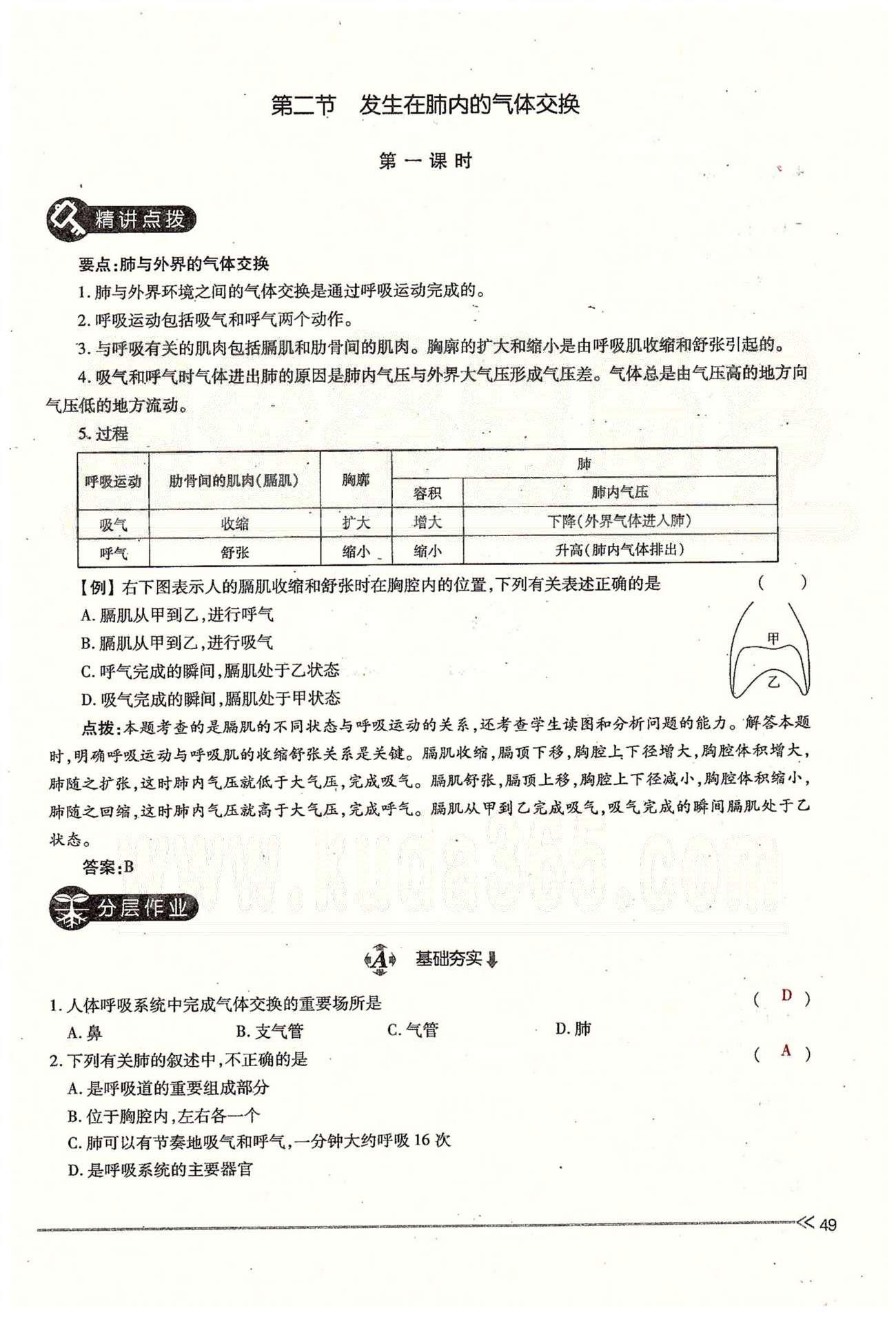 一課一練創(chuàng)新練習(xí)七年級下生物江西人民出版社 第三章 人體的呼吸 [5]