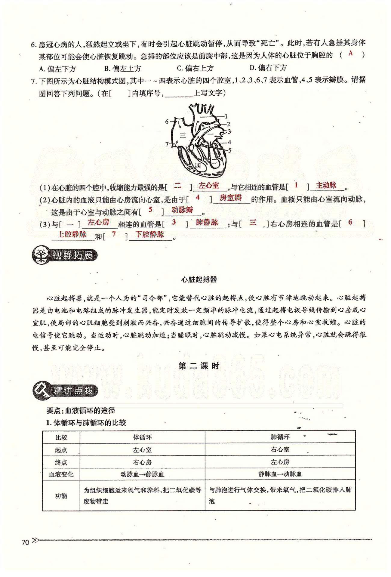 一課一練創(chuàng)新練習(xí)七年級下生物江西人民出版社 第四章 人體內(nèi)物質(zhì)的運(yùn)輸 第三、四節(jié) [3]