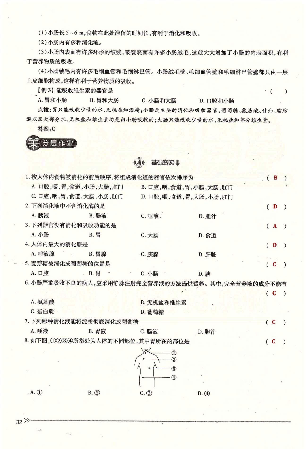 一課一練創(chuàng)新練習(xí)七年級下生物江西人民出版社 第二章 人體的營養(yǎng) 第一、二節(jié) [12]