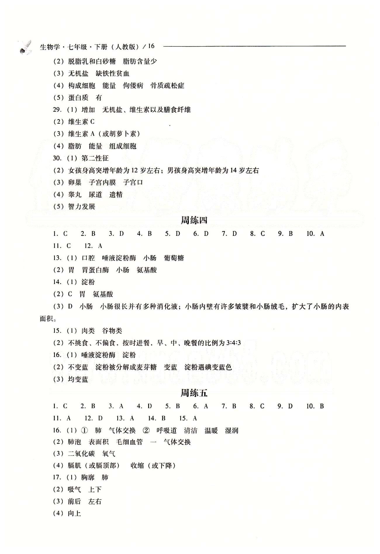 2015年新課程問(wèn)題解決導(dǎo)學(xué)方案七年級(jí)生物學(xué)下冊(cè)人教版 問(wèn)題解決導(dǎo)學(xué)訓(xùn)練案 [3]