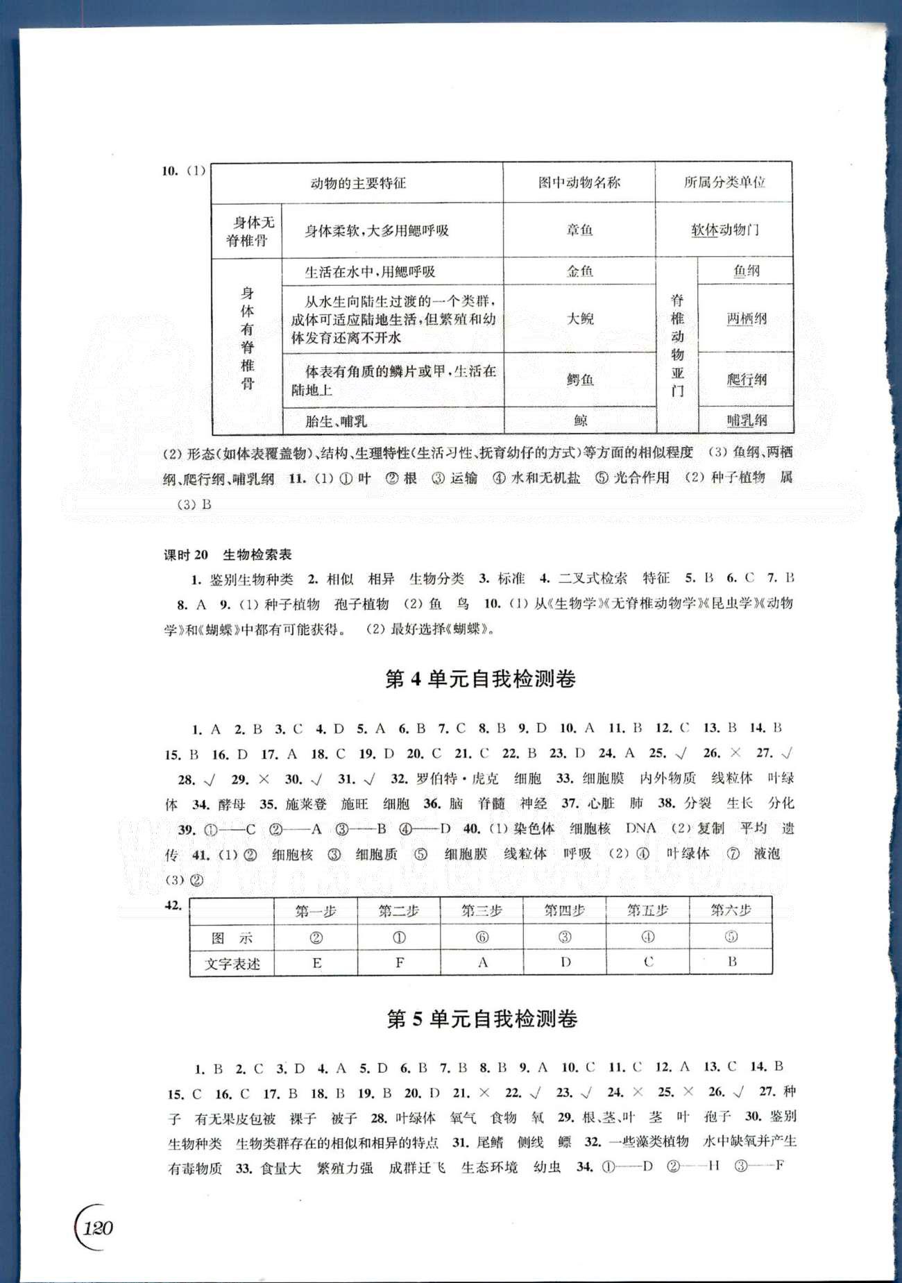 同步练习 苏教版七年级下生物江苏科学技术出版社 第四、第五单元自我检测卷 [1]