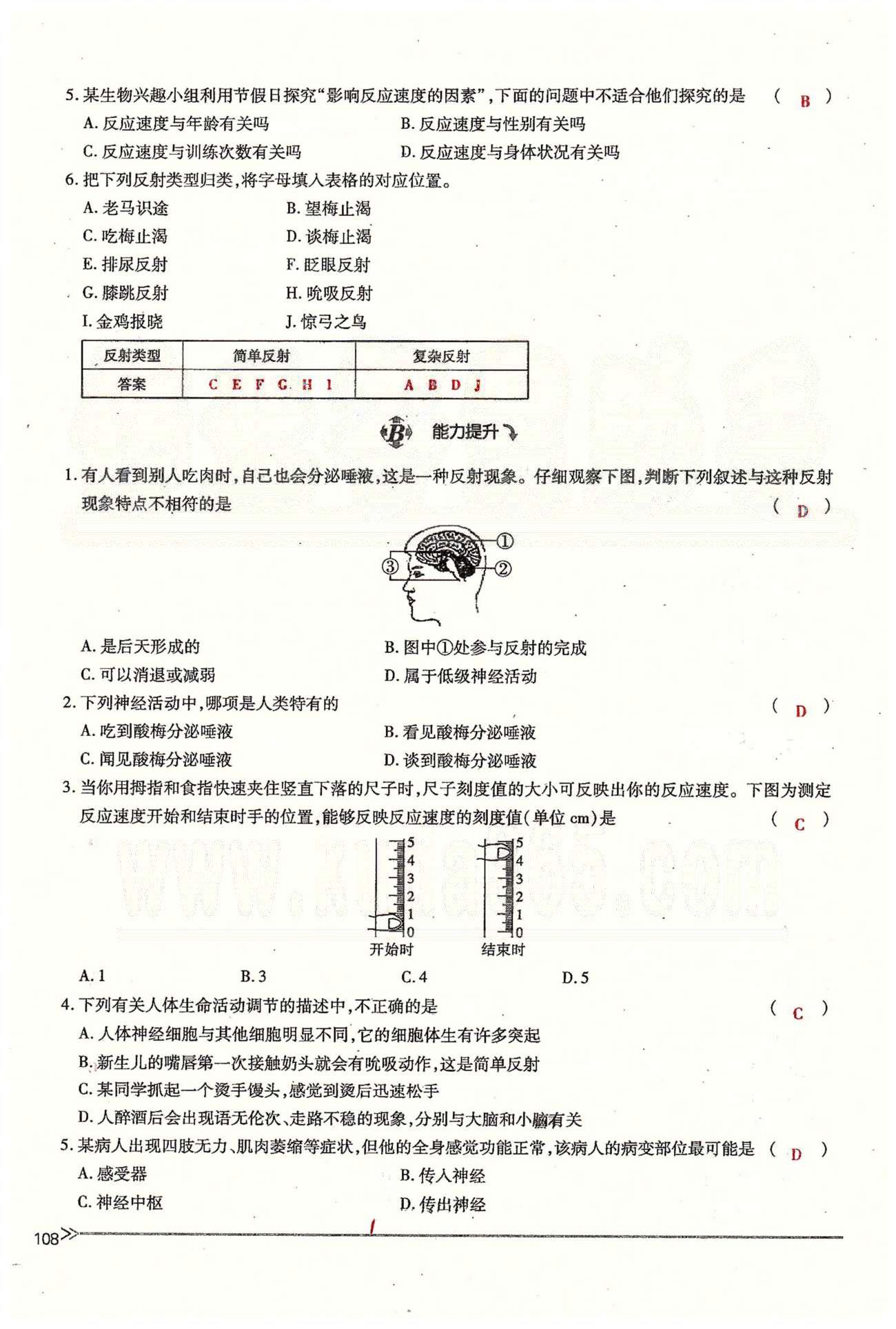 一課一練創(chuàng)新練習(xí)七年級(jí)下生物江西人民出版社 第六章 人體生命活動(dòng)的調(diào)節(jié) 第三、四節(jié) [5]