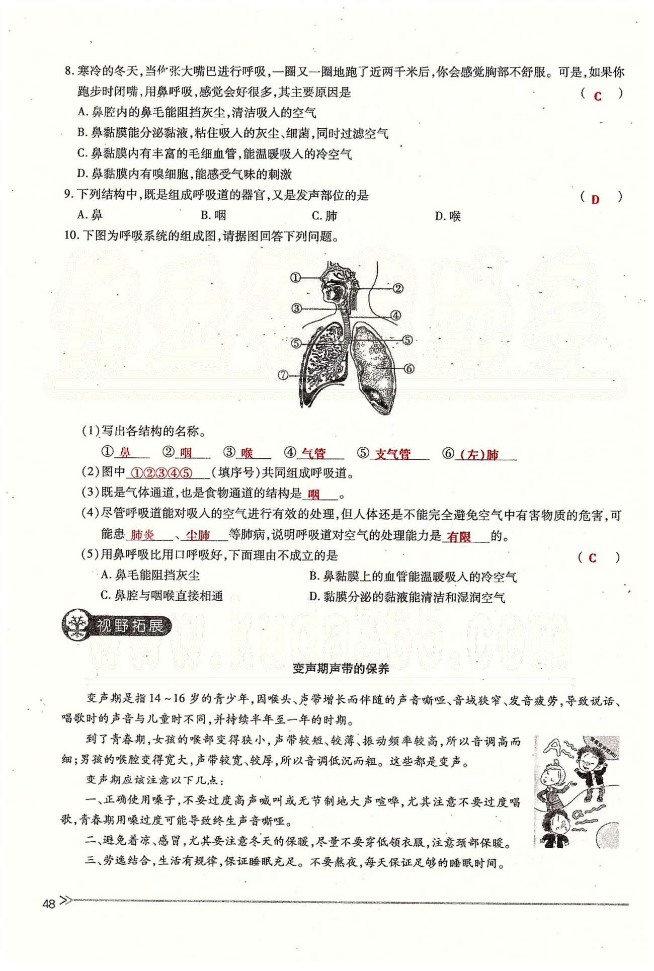 一課一練創(chuàng)新練習(xí)七年級下生物江西人民出版社 第三章 人體的呼吸 [4]