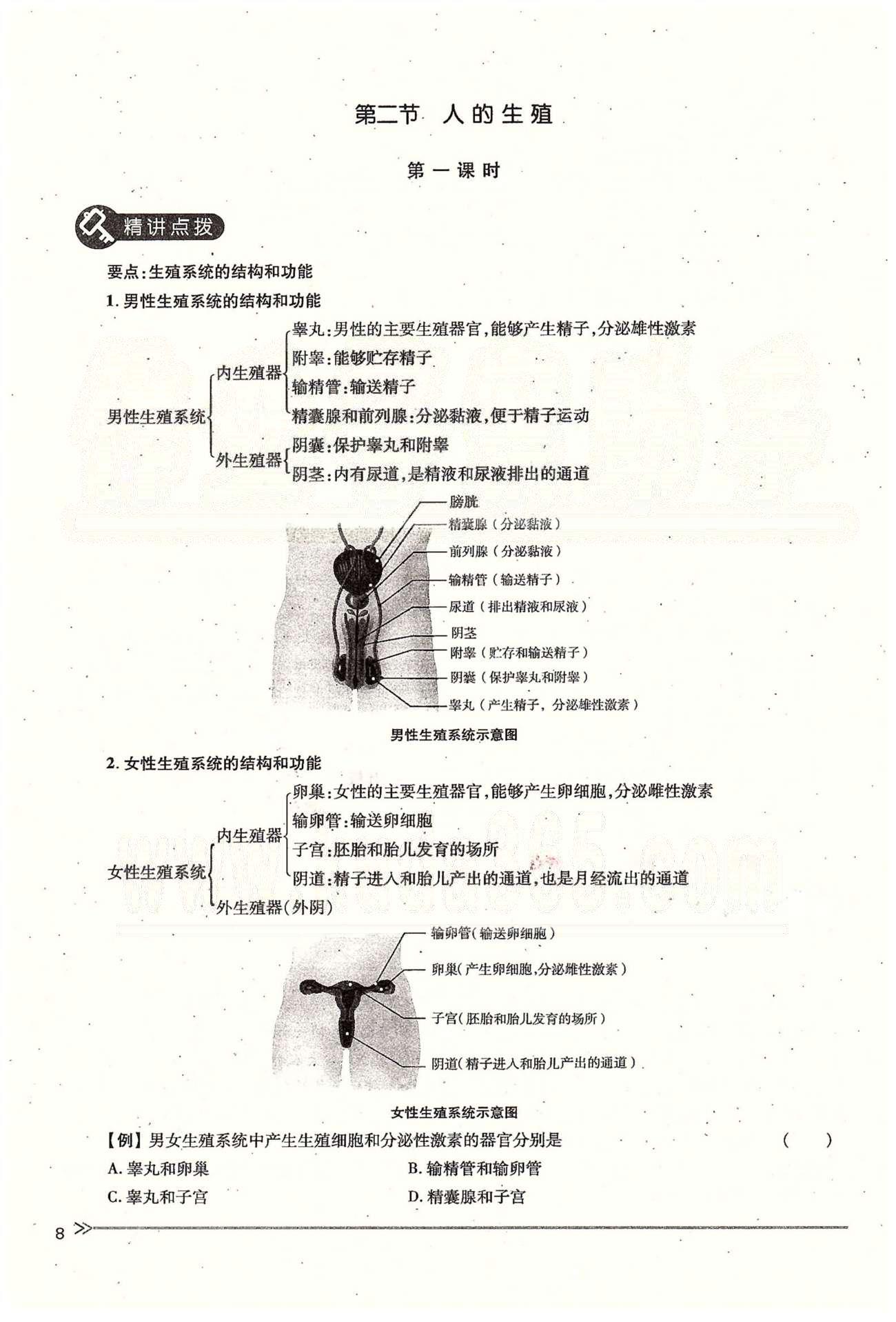 一課一練創(chuàng)新練習(xí)七年級下生物江西人民出版社 第一章 人的由來 [8]