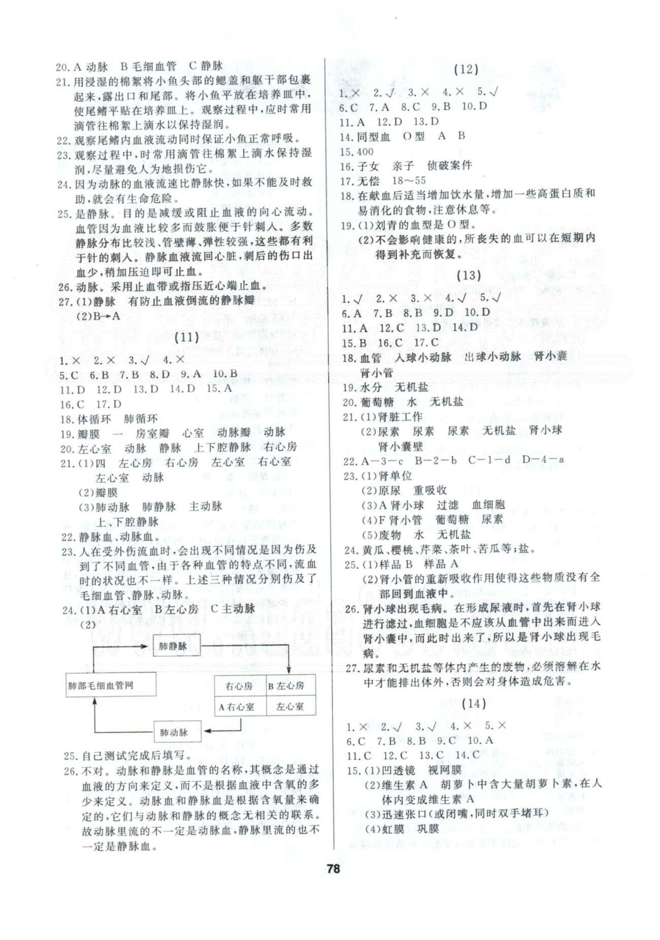 2015年試題優(yōu)化課堂同步七年級生物下冊人教版 1-10 [4]