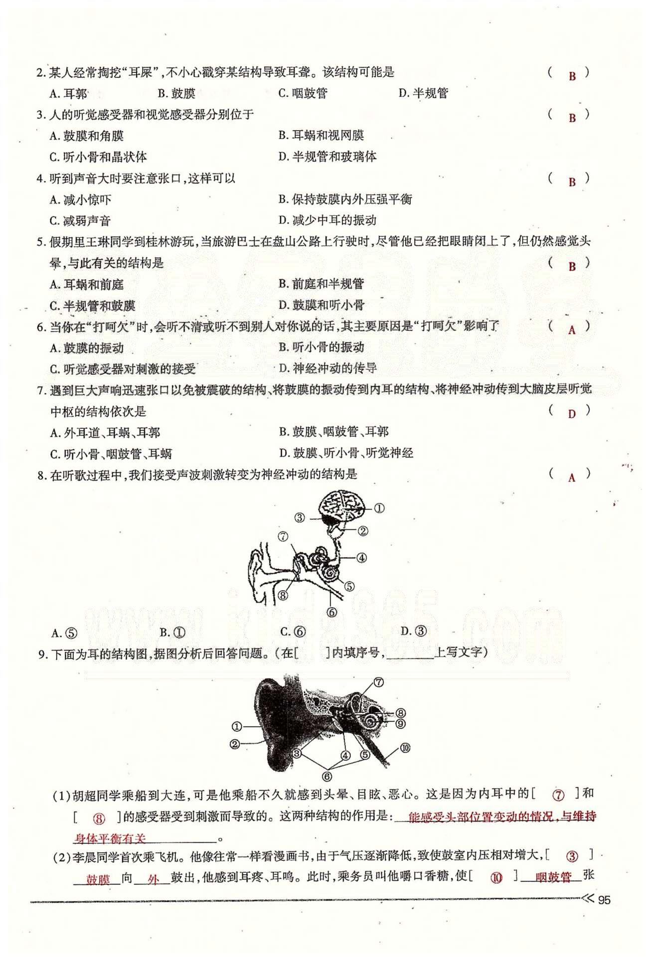 一課一練創(chuàng)新練習(xí)七年級(jí)下生物江西人民出版社 第六章 人體生命活動(dòng)的調(diào)節(jié) 第一、二節(jié) [9]