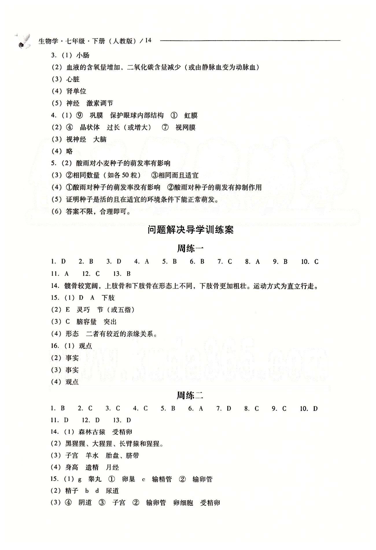 2015年新課程問(wèn)題解決導(dǎo)學(xué)方案七年級(jí)生物學(xué)下冊(cè)人教版 問(wèn)題解決導(dǎo)學(xué)訓(xùn)練案 [1]