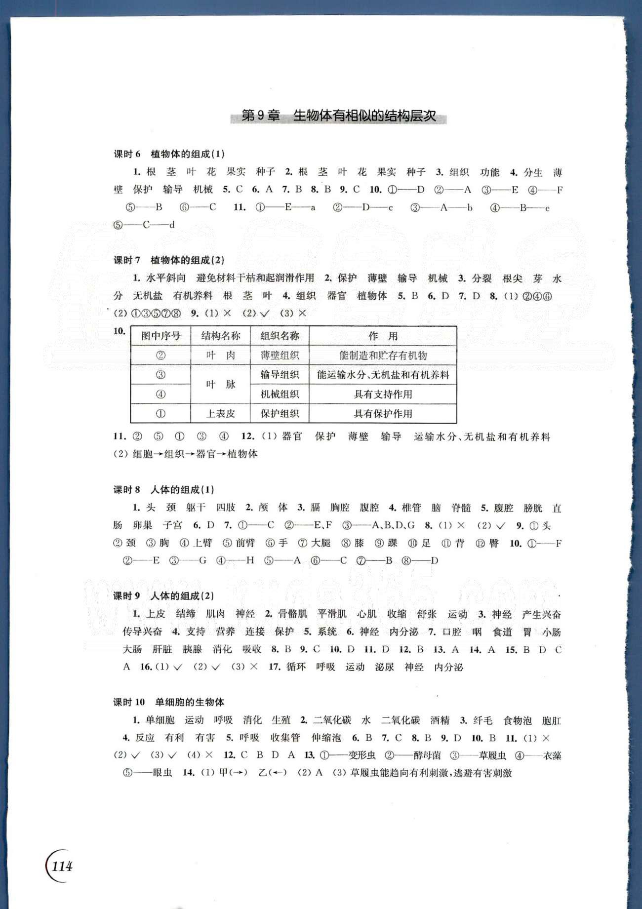 同步练习 苏教版七年级下生物江苏科学技术出版社 第四单元 [2]