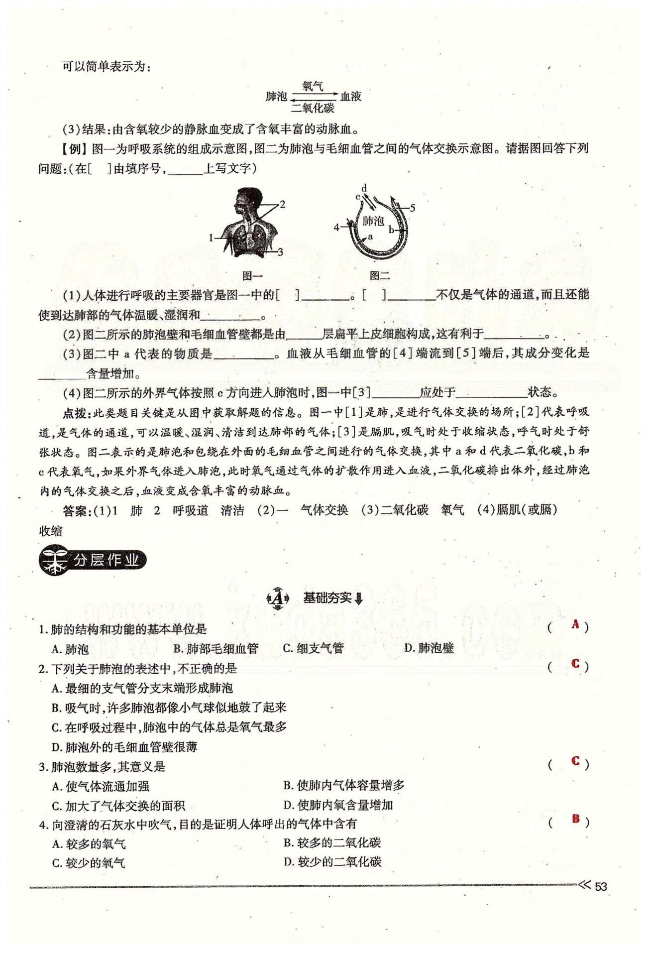 一課一練創(chuàng)新練習七年級下生物江西人民出版社 第三章 人體的呼吸 [9]