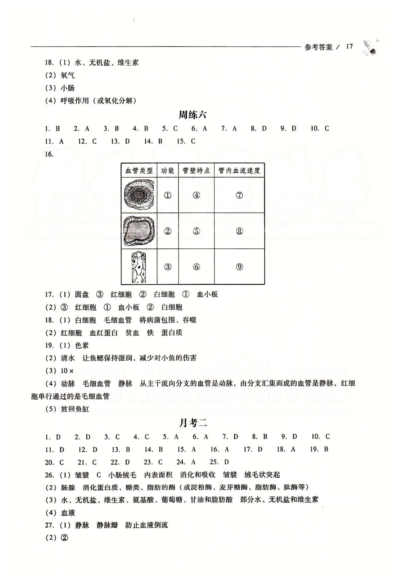 2015年新課程問題解決導(dǎo)學(xué)方案七年級(jí)生物學(xué)下冊(cè)人教版 問題解決導(dǎo)學(xué)訓(xùn)練案 [4]