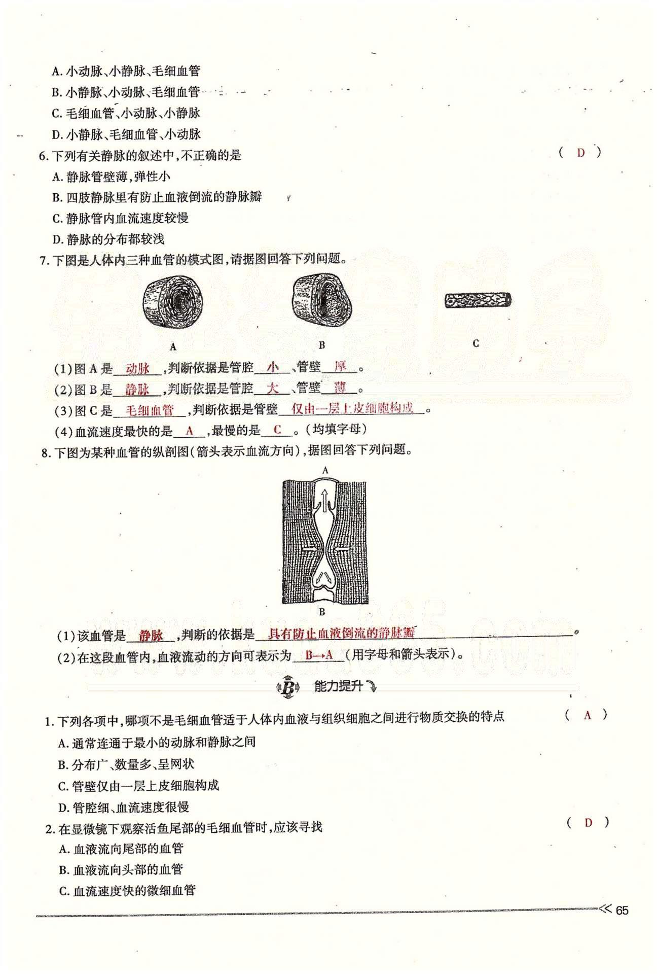 一課一練創(chuàng)新練習(xí)七年級(jí)下生物江西人民出版社 第四章 人體內(nèi)物質(zhì)的運(yùn)輸 第一、二節(jié) [9]