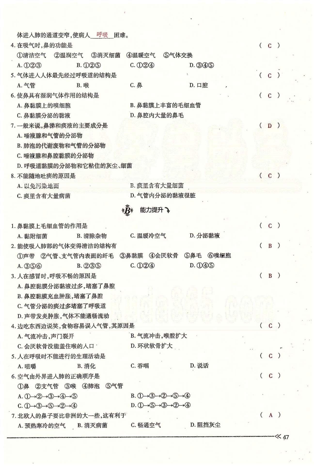 一課一練創(chuàng)新練習(xí)七年級(jí)下生物江西人民出版社 第三章 人體的呼吸 [3]