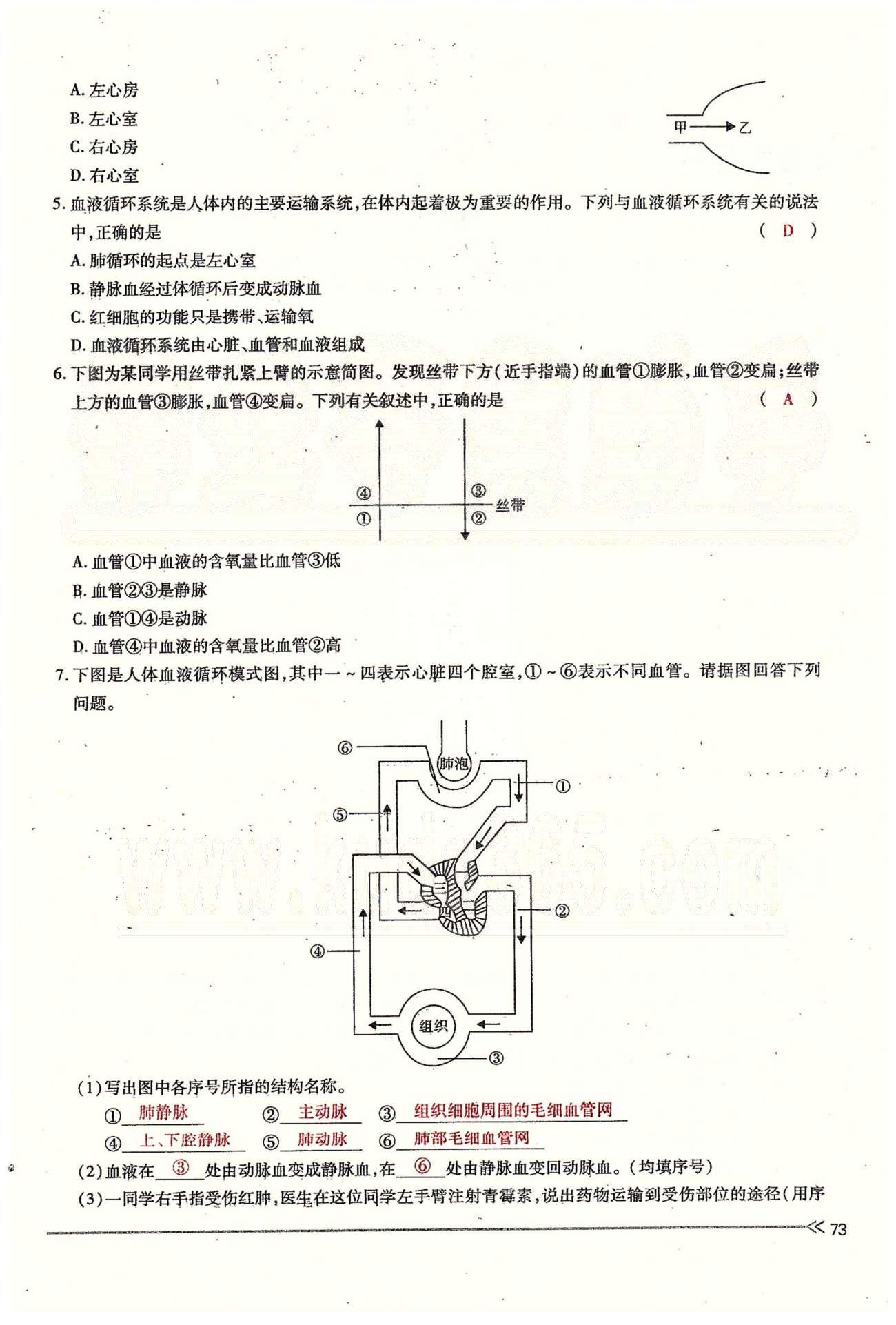 一課一練創(chuàng)新練習(xí)七年級下生物江西人民出版社 第四章 人體內(nèi)物質(zhì)的運(yùn)輸 第三、四節(jié) [6]