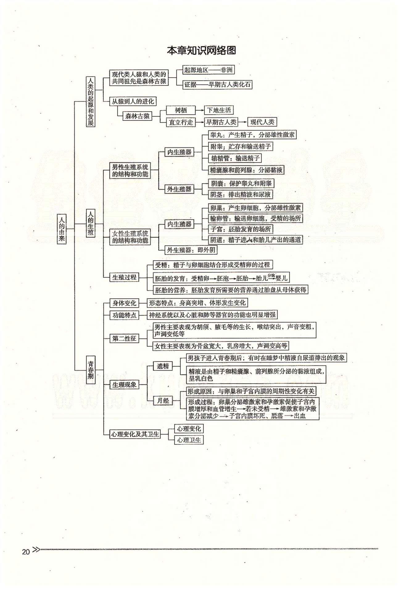 一課一練創(chuàng)新練習(xí)七年級(jí)下生物江西人民出版社 第一章 人的由來(lái) [20]