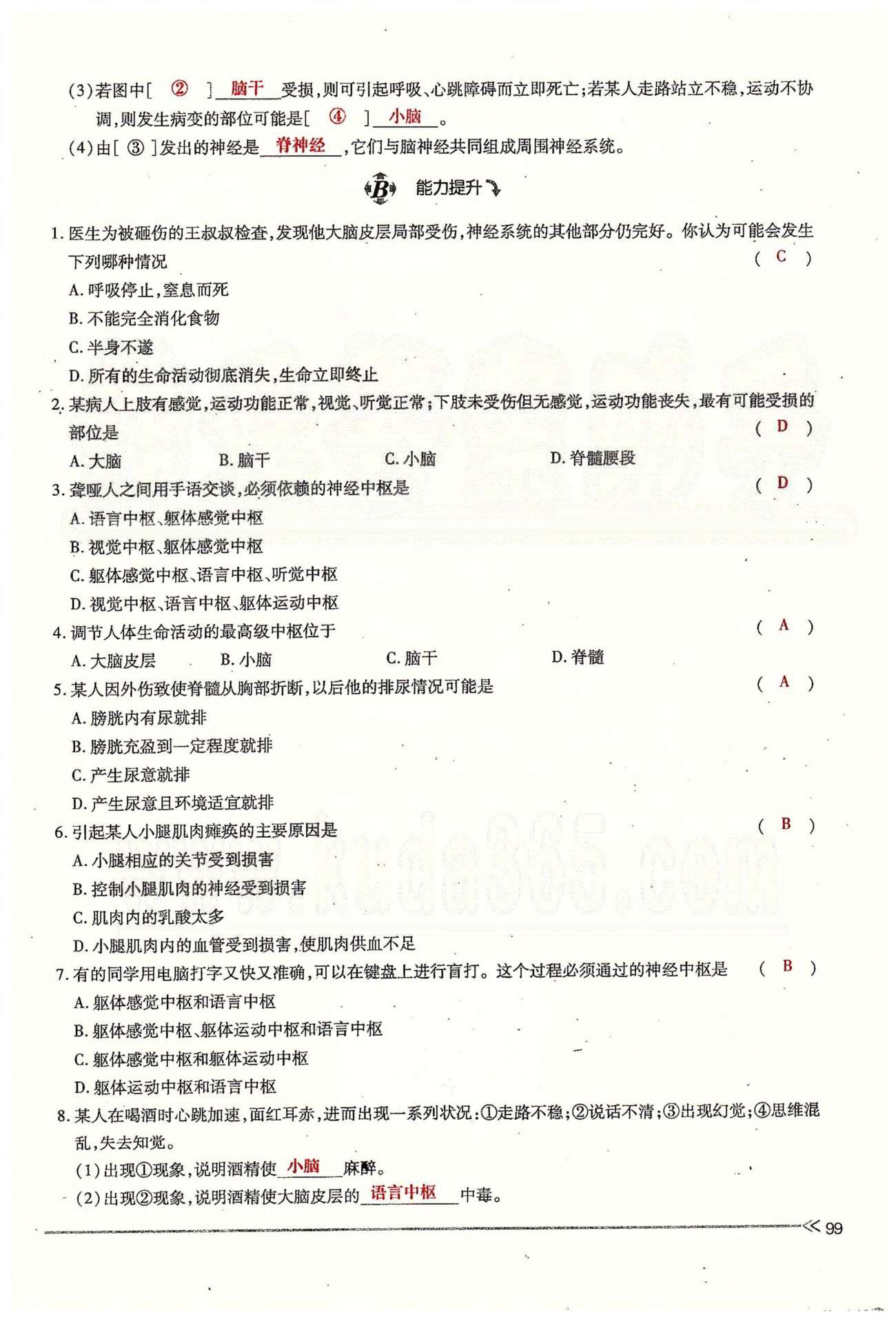 一課一練創(chuàng)新練習(xí)七年級下生物江西人民出版社 第六章 人體生命活動的調(diào)節(jié) 第一、二節(jié) [13]