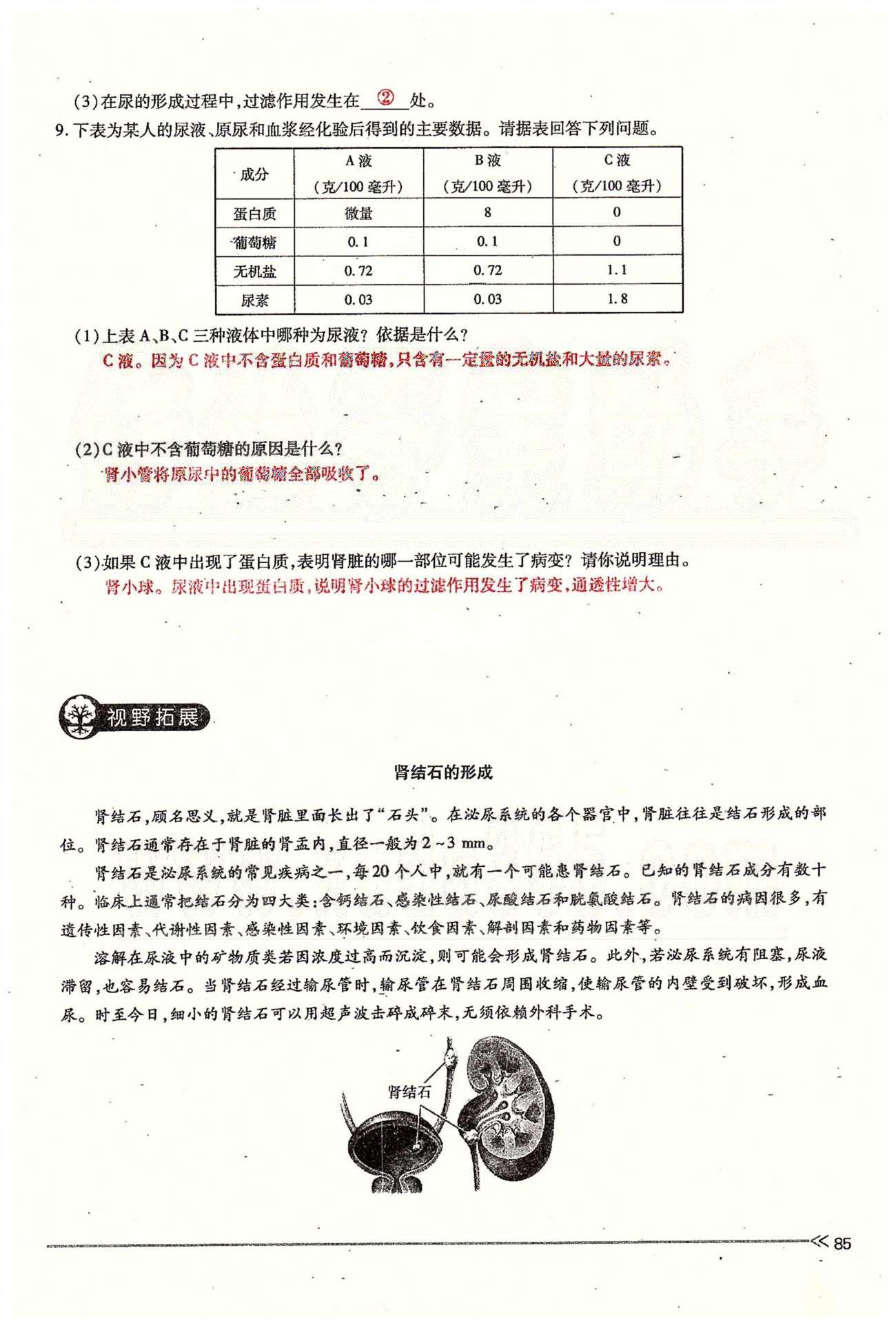 一課一練創(chuàng)新練習(xí)七年級(jí)下生物江西人民出版社 第五章 人體內(nèi)廢物的排出 [6]