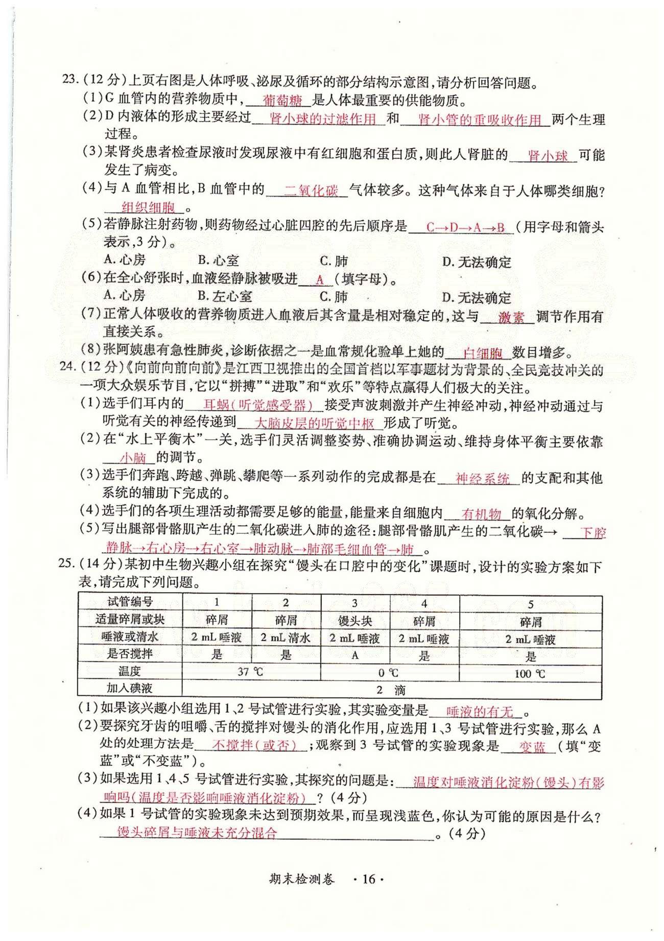 一課一練創(chuàng)新練習(xí)七年級(jí)下生物江西人民出版社 檢測(cè)卷 [16]