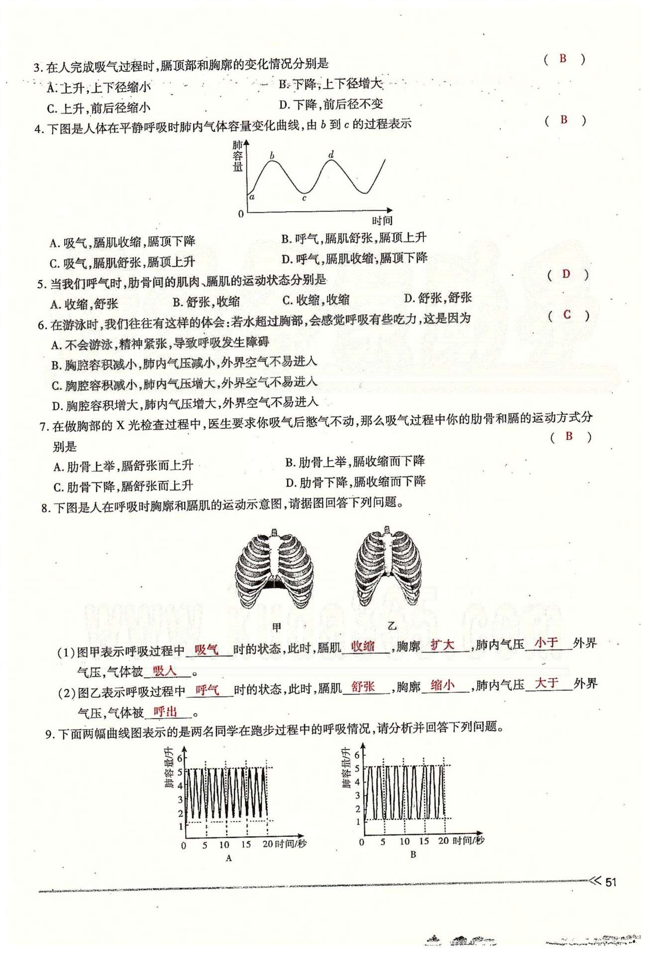 一課一練創(chuàng)新練習七年級下生物江西人民出版社 第三章 人體的呼吸 [7]