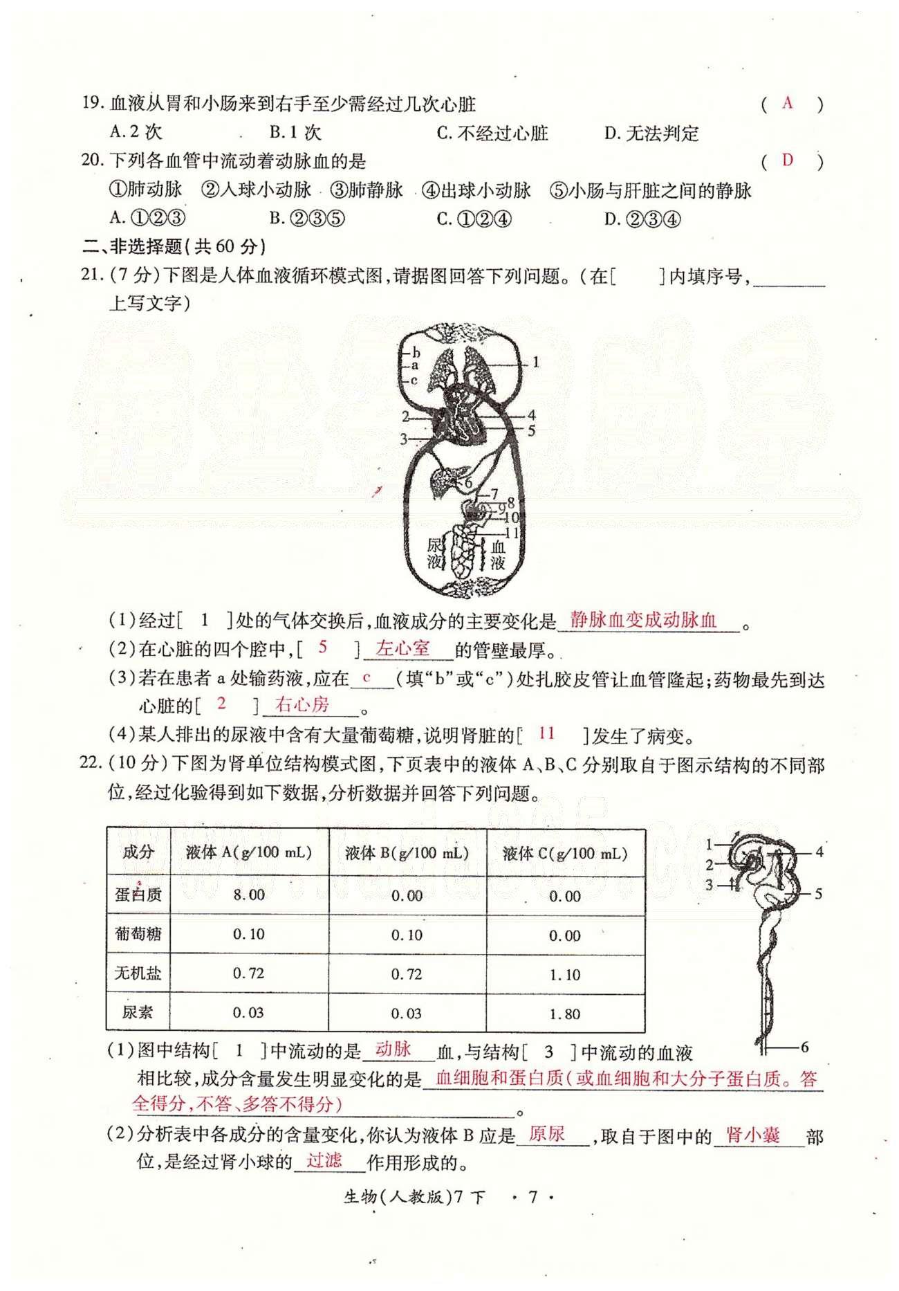 一課一練創(chuàng)新練習(xí)七年級下生物江西人民出版社 檢測卷 [7]