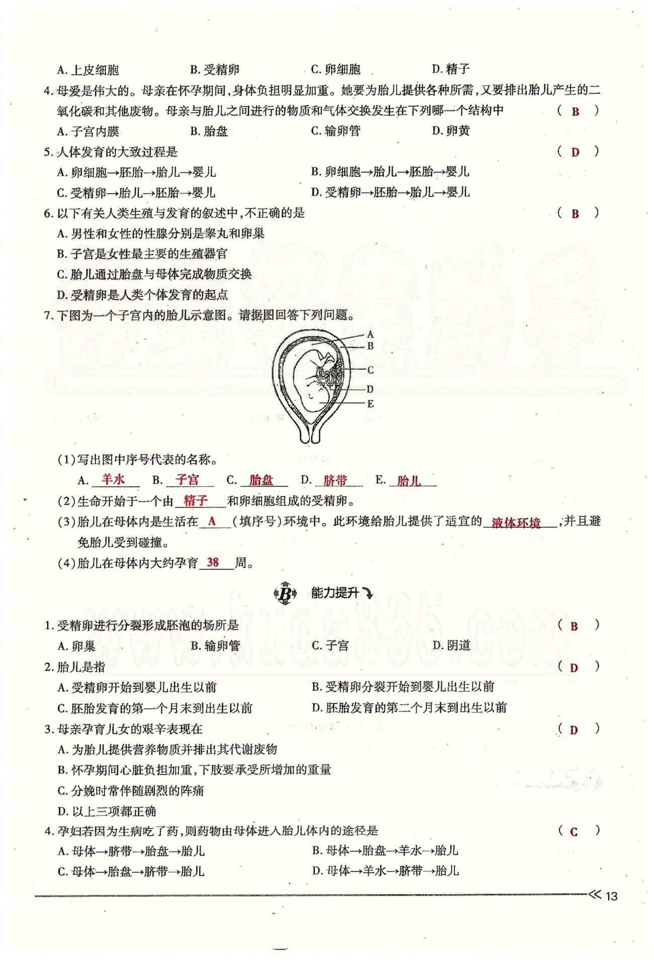 一課一練創(chuàng)新練習(xí)七年級(jí)下生物江西人民出版社 第一章 人的由來 [13]