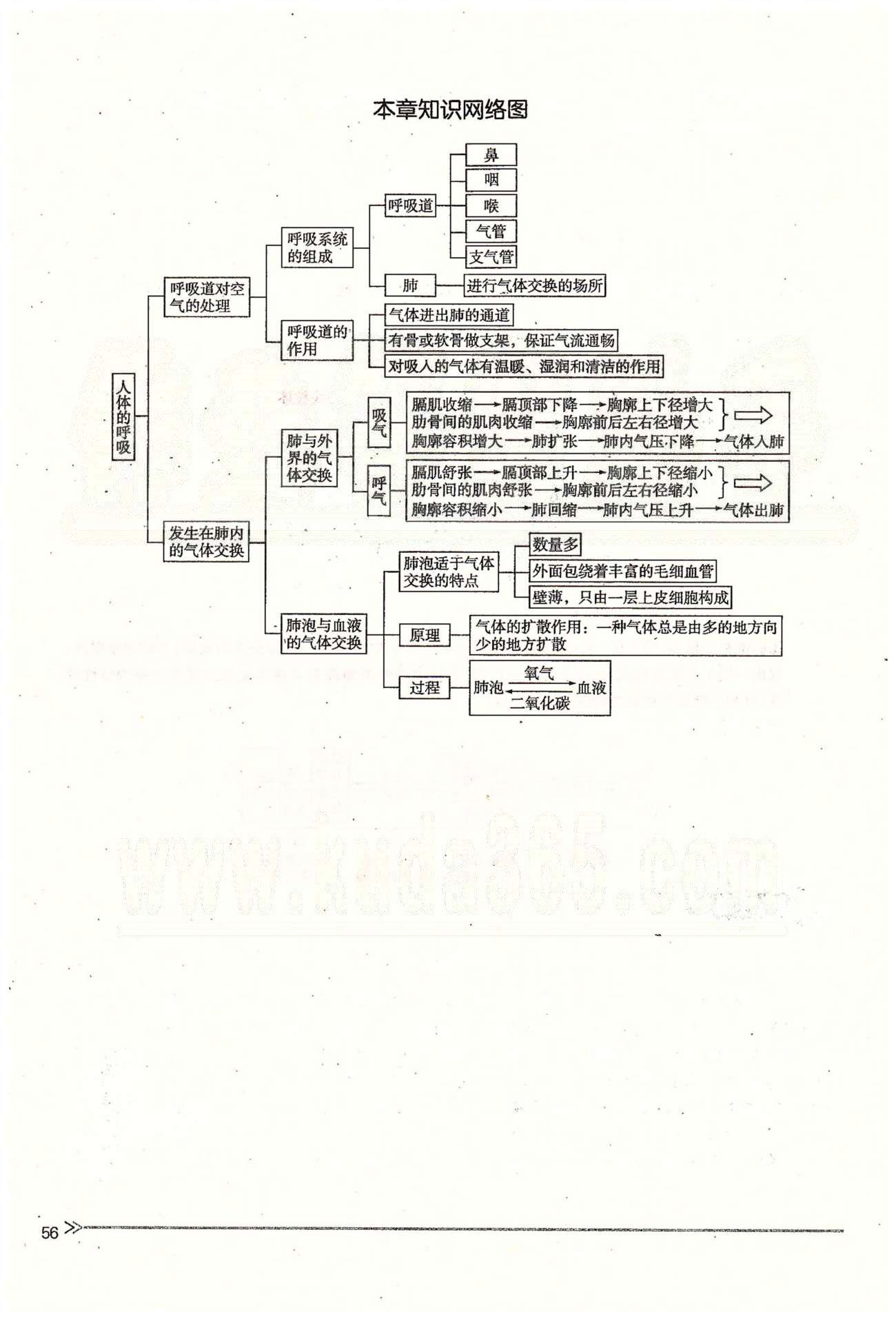 一課一練創(chuàng)新練習(xí)七年級(jí)下生物江西人民出版社 第三章 人體的呼吸 [12]