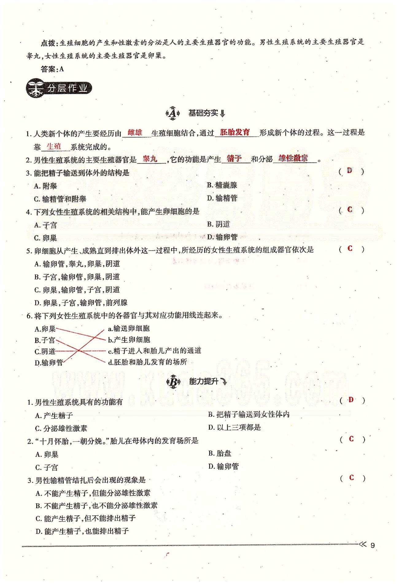 一課一練創(chuàng)新練習七年級下生物江西人民出版社 第一章 人的由來 [9]