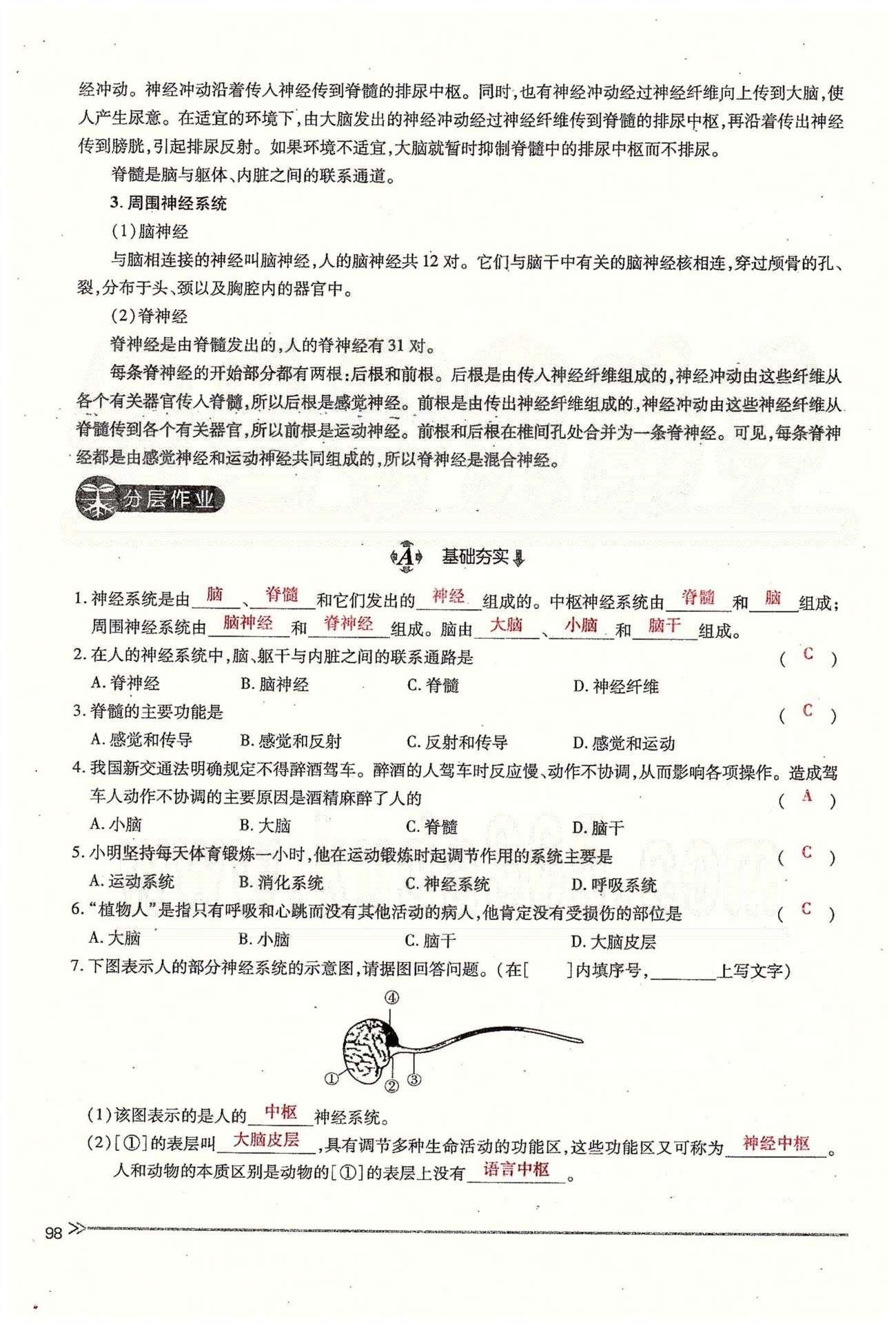 一課一練創(chuàng)新練習(xí)七年級下生物江西人民出版社 第六章 人體生命活動的調(diào)節(jié) 第一、二節(jié) [12]