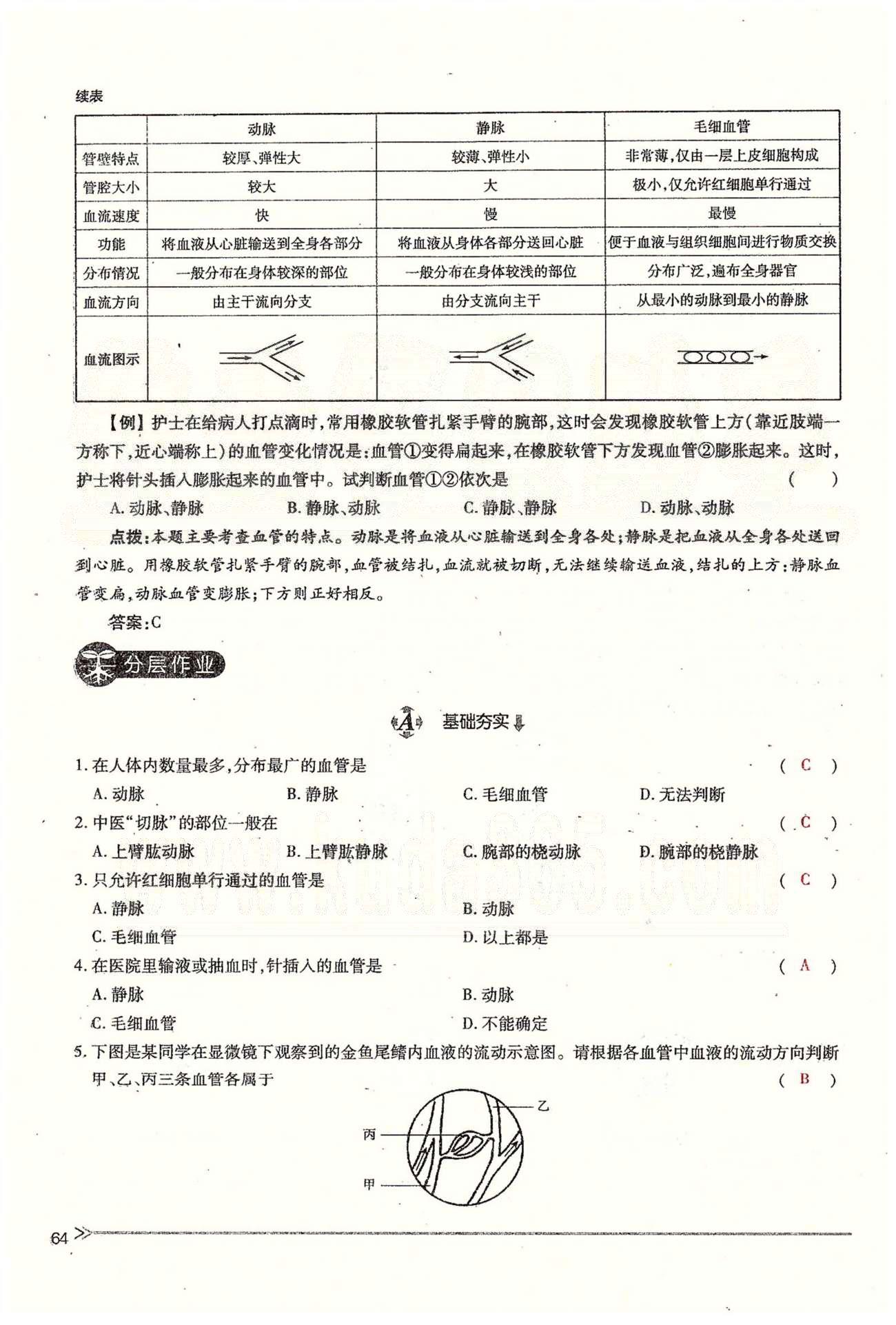 一課一練創(chuàng)新練習七年級下生物江西人民出版社 第四章 人體內物質的運輸 第一、二節(jié) [8]