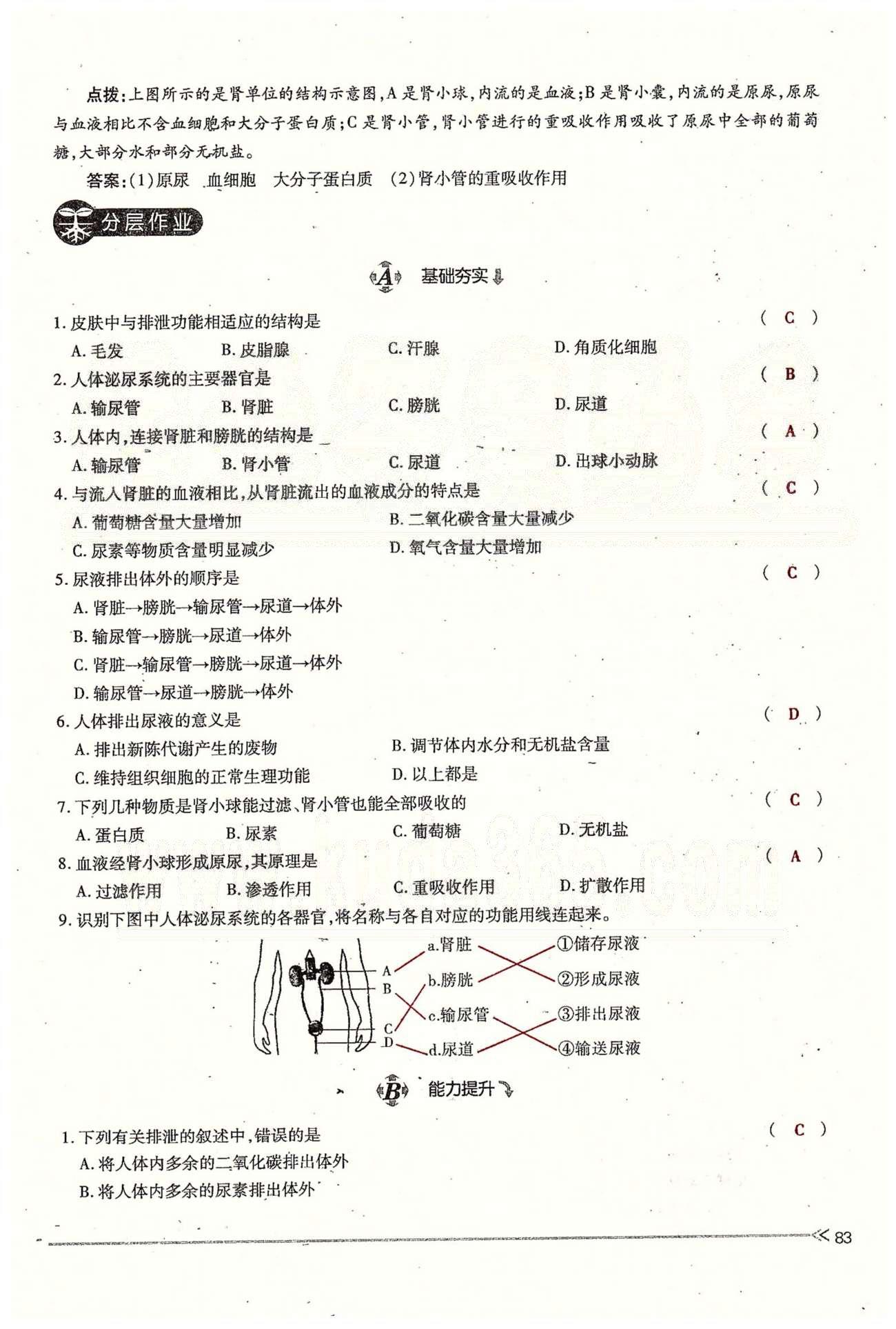 一課一練創(chuàng)新練習(xí)七年級下生物江西人民出版社 第五章 人體內(nèi)廢物的排出 [4]